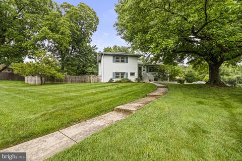 7119 SEA CLIFF ROAD MCLEAN VA 22101