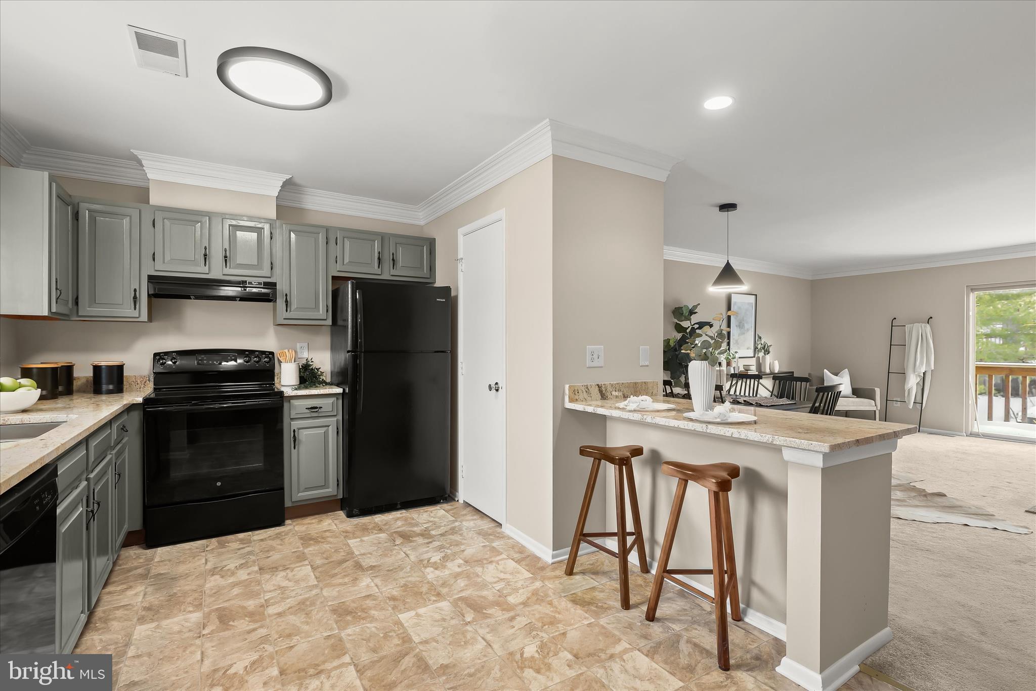 SILVER SPRING STATION - Residential