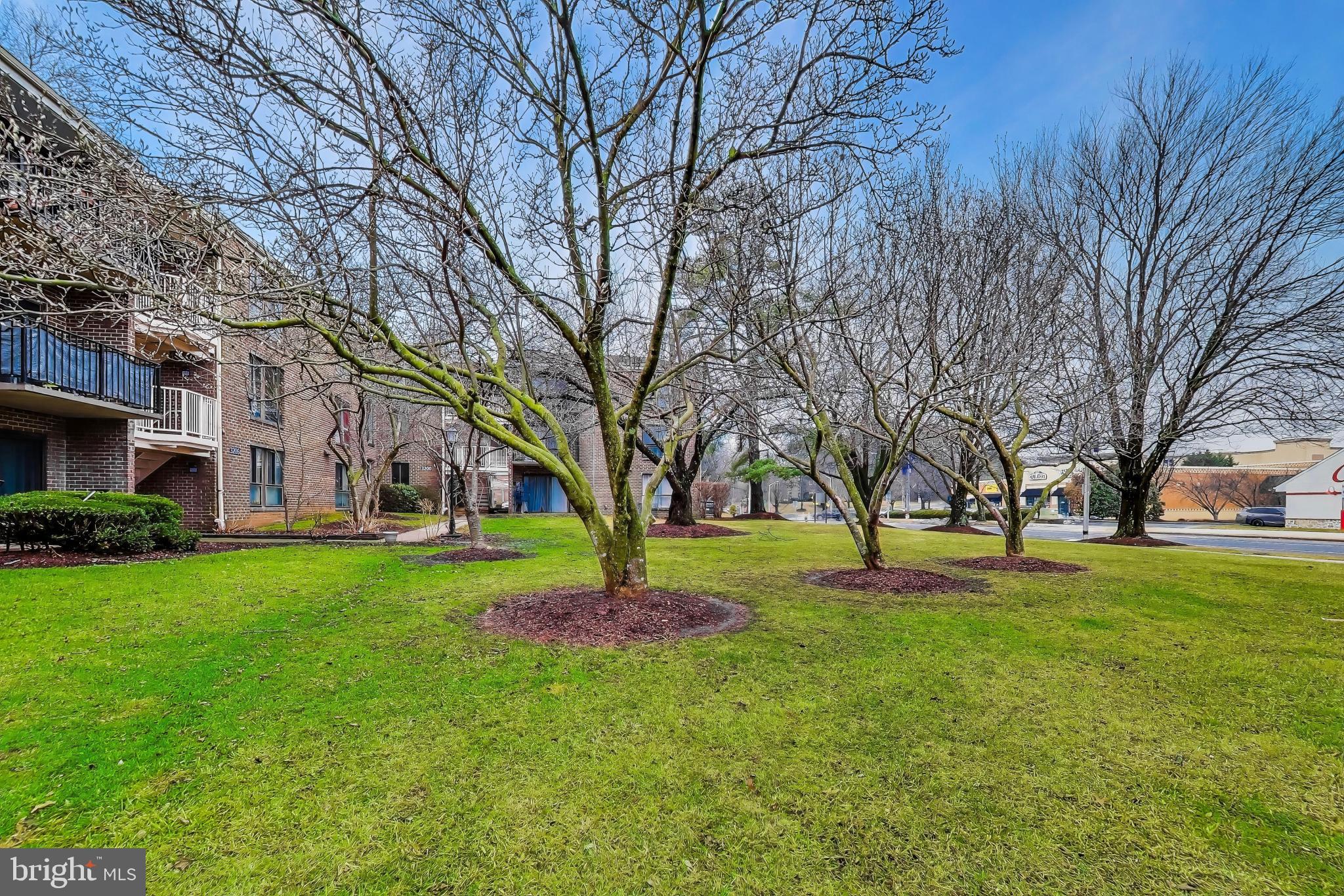 CAMELBACK VILLAGE - Residential