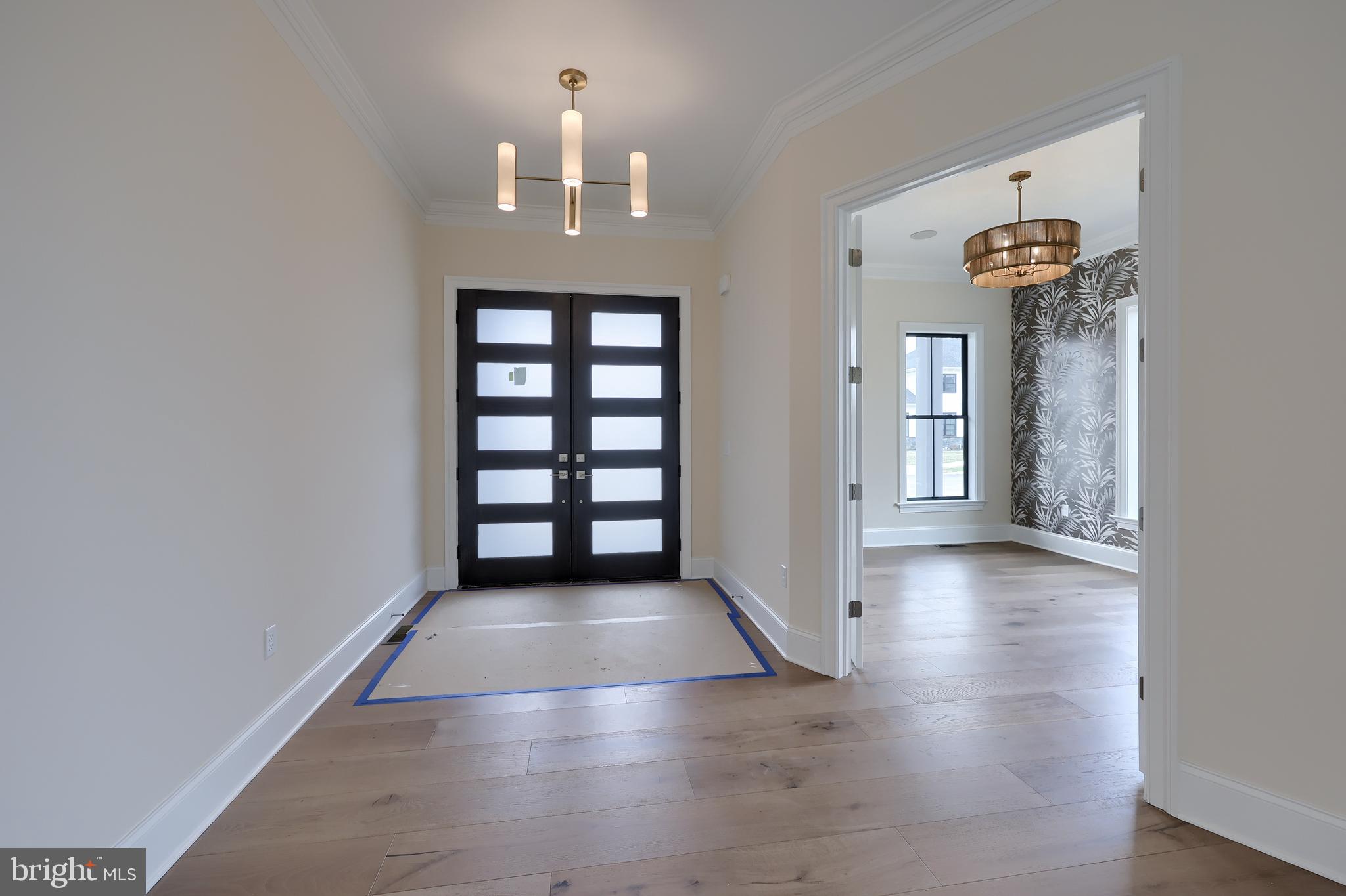 514 DOLLY DRIVE