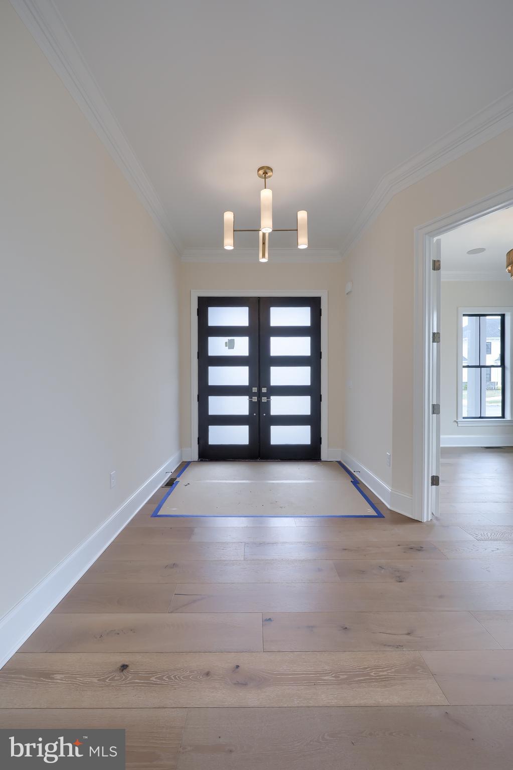 514 DOLLY DRIVE
