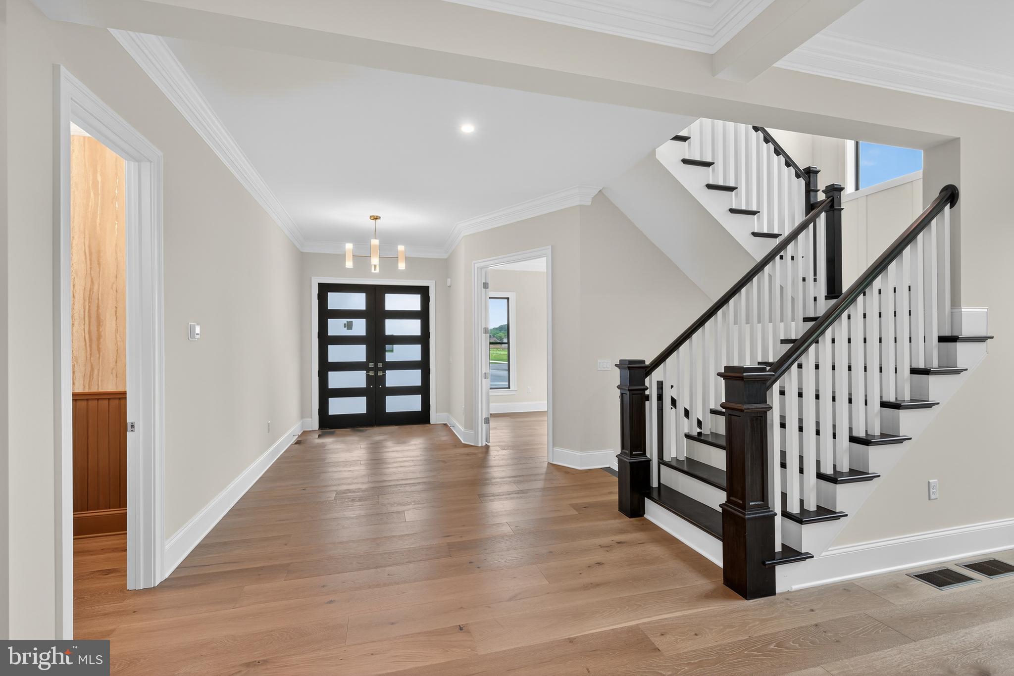 514 DOLLY DRIVE