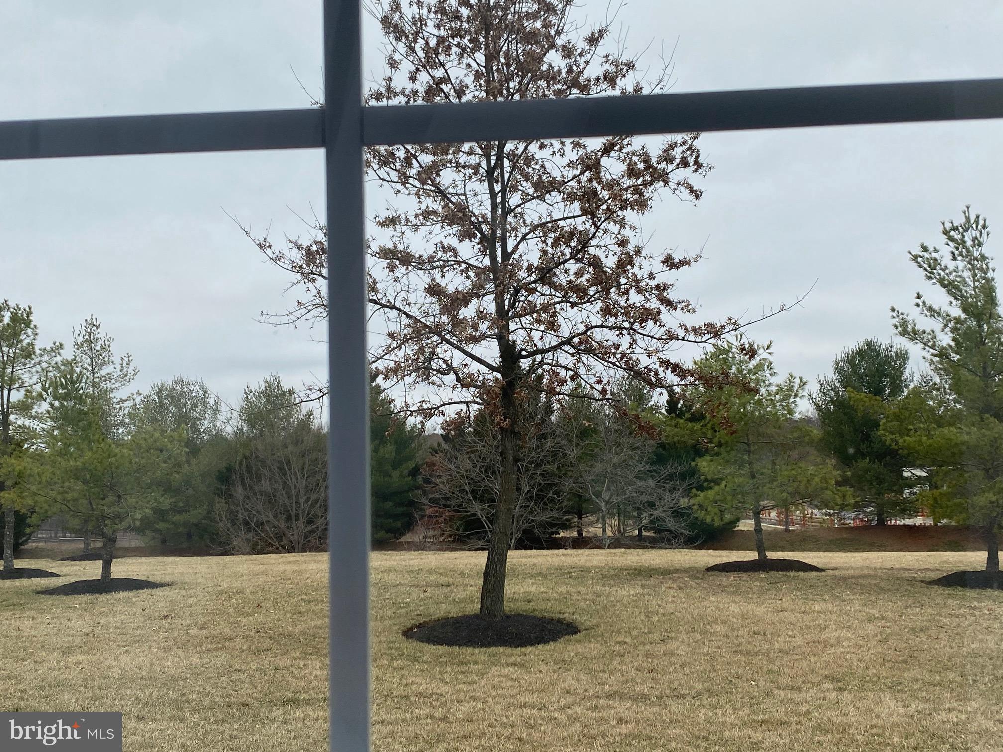 CEDAR RIDGE - Residential