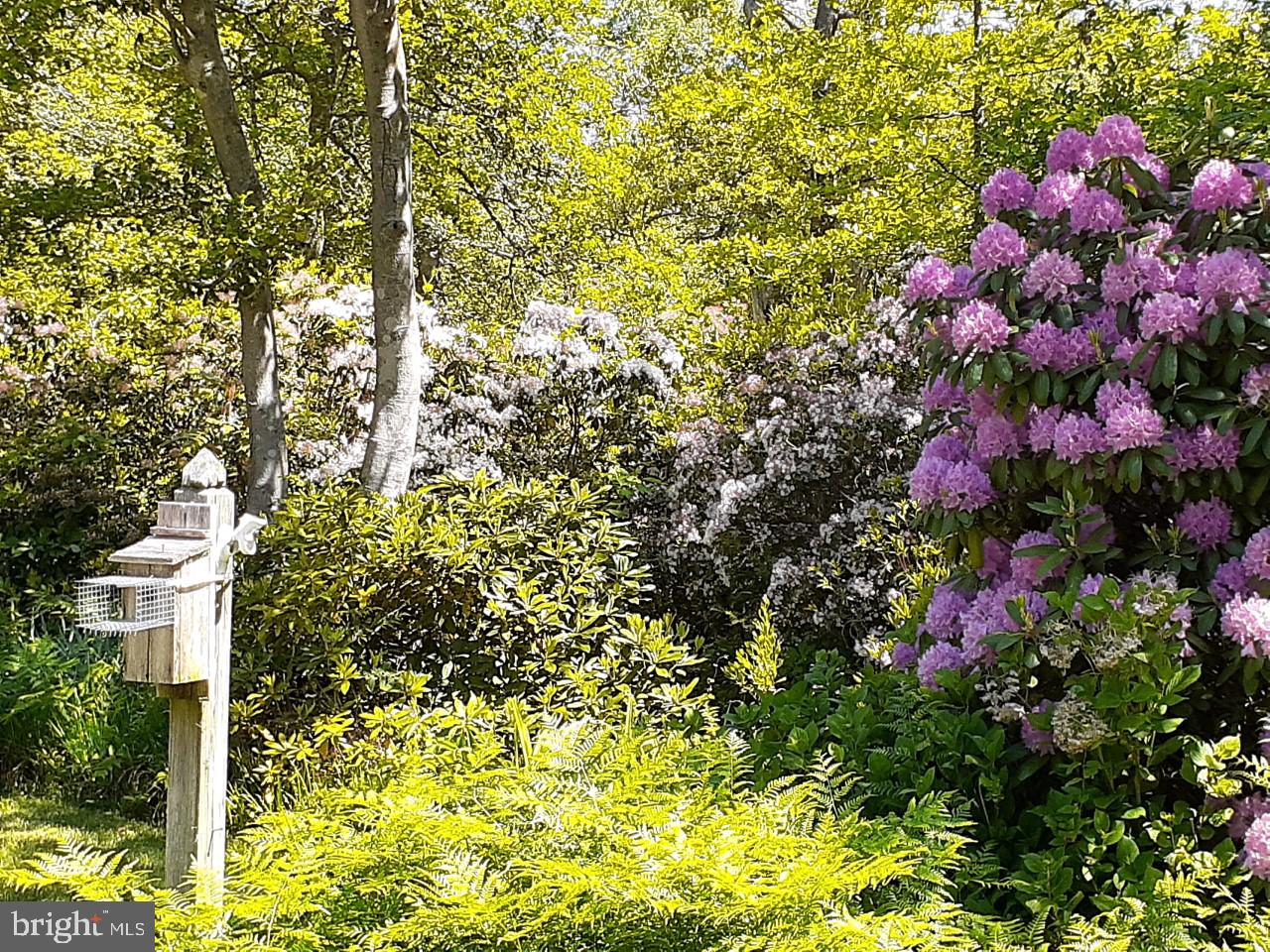 MATTOX ESTATES - Residential