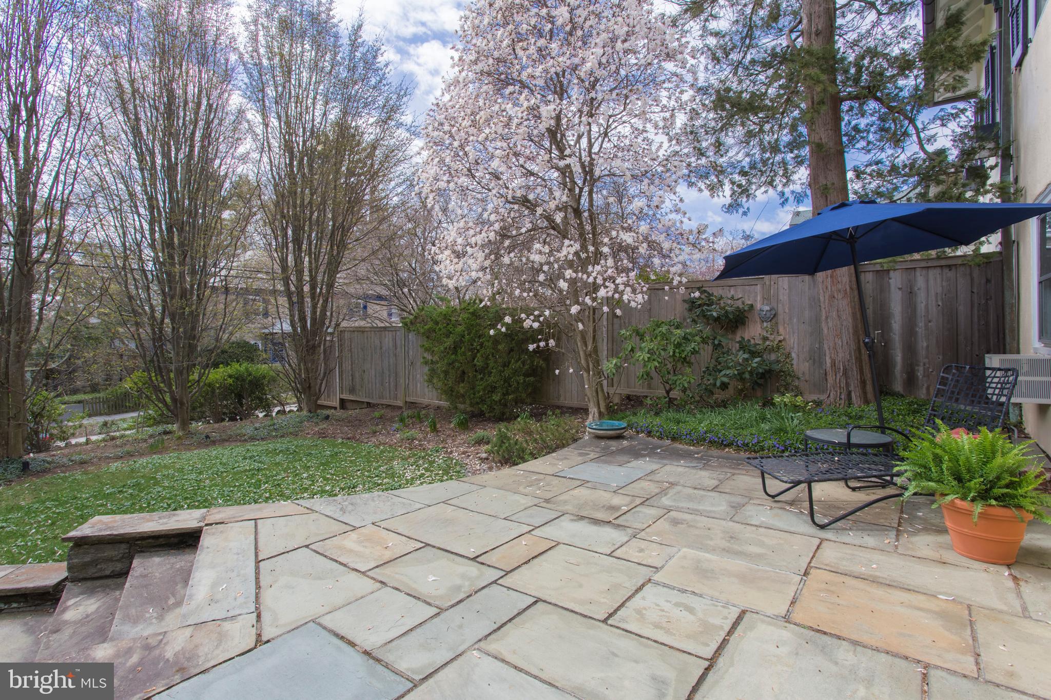 CHESTNUT HILL - Residential