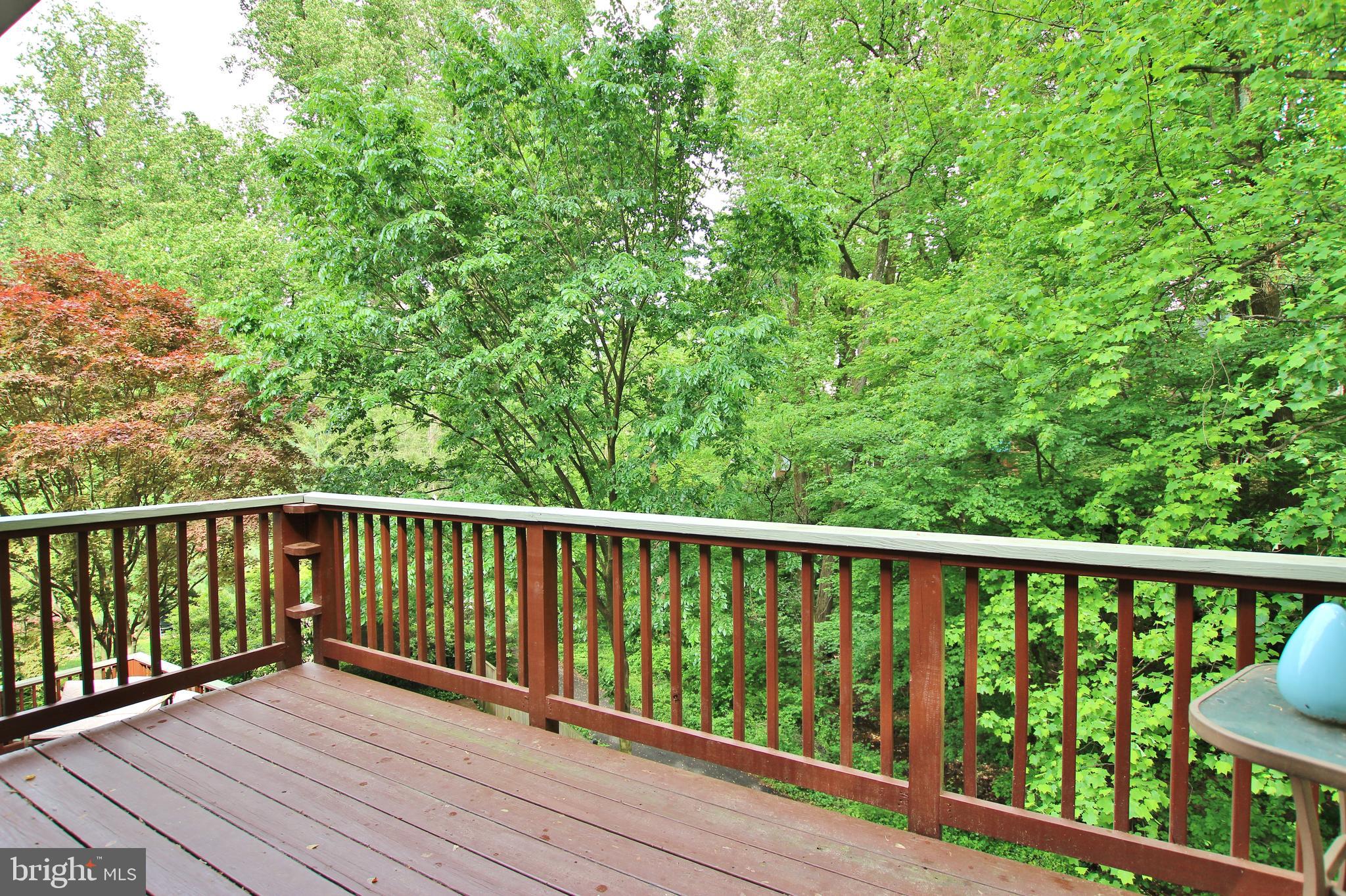 BROYHILL FOREST - Residential