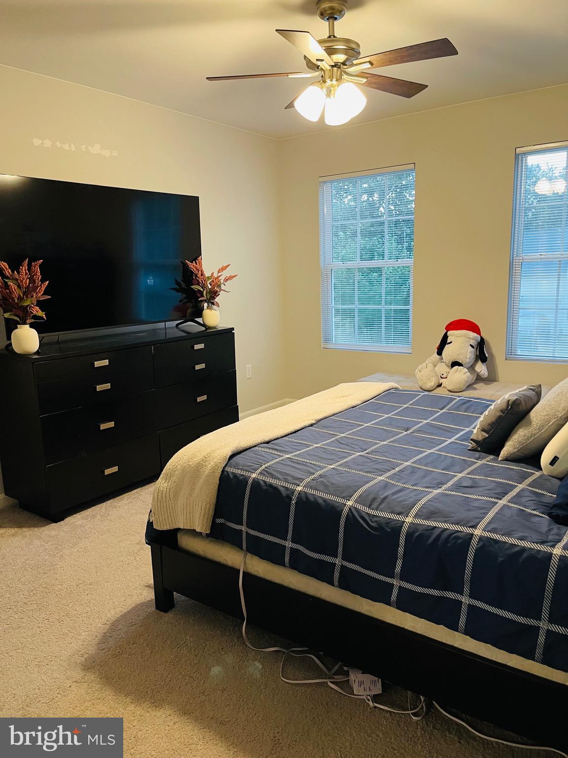 TRICE MEADOWS - Residential