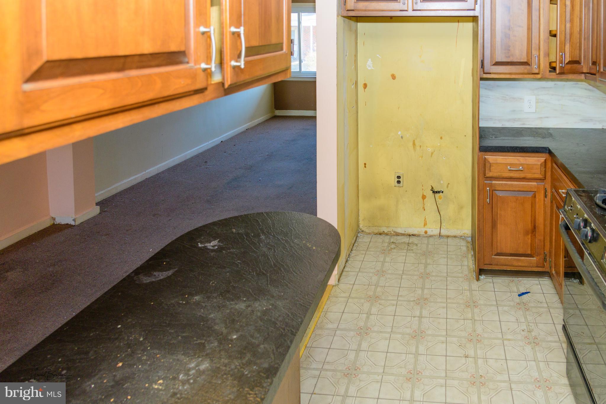 GREEKTOWN - Residential