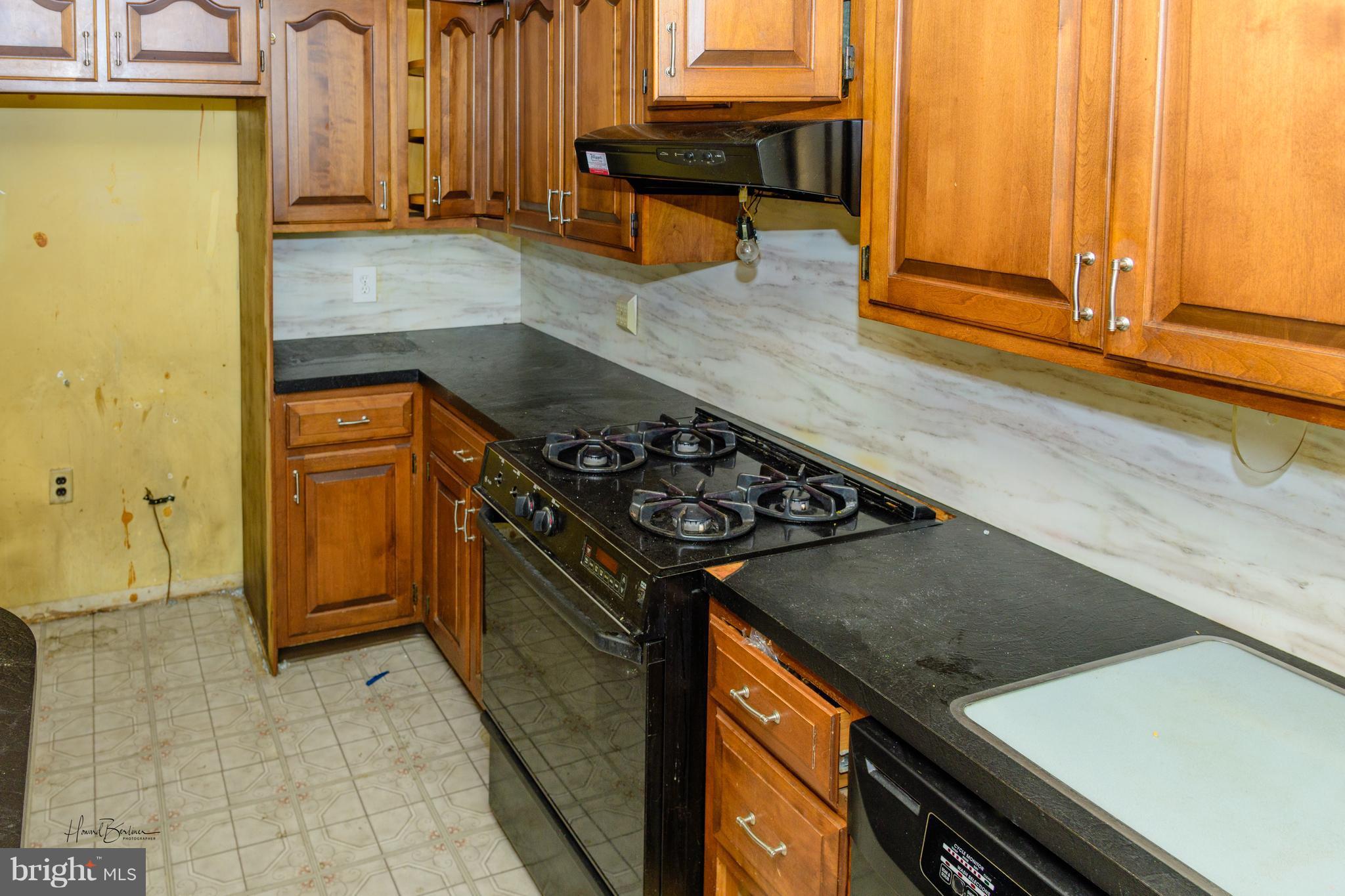 GREEKTOWN - Residential