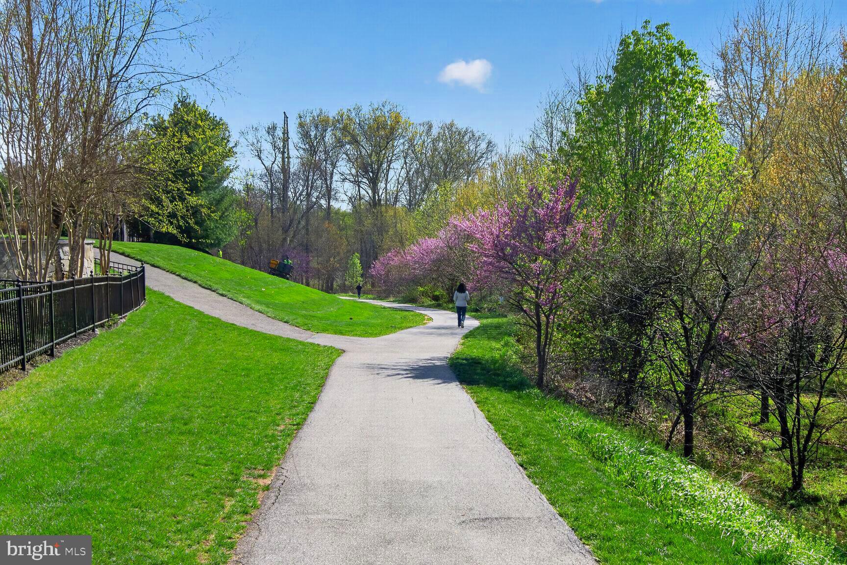 MAPLE LAWN - Residential