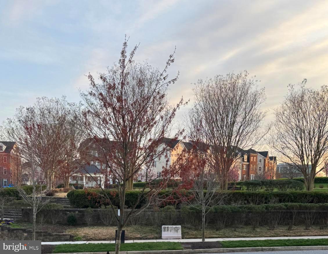 MAPLE LAWN - Residential