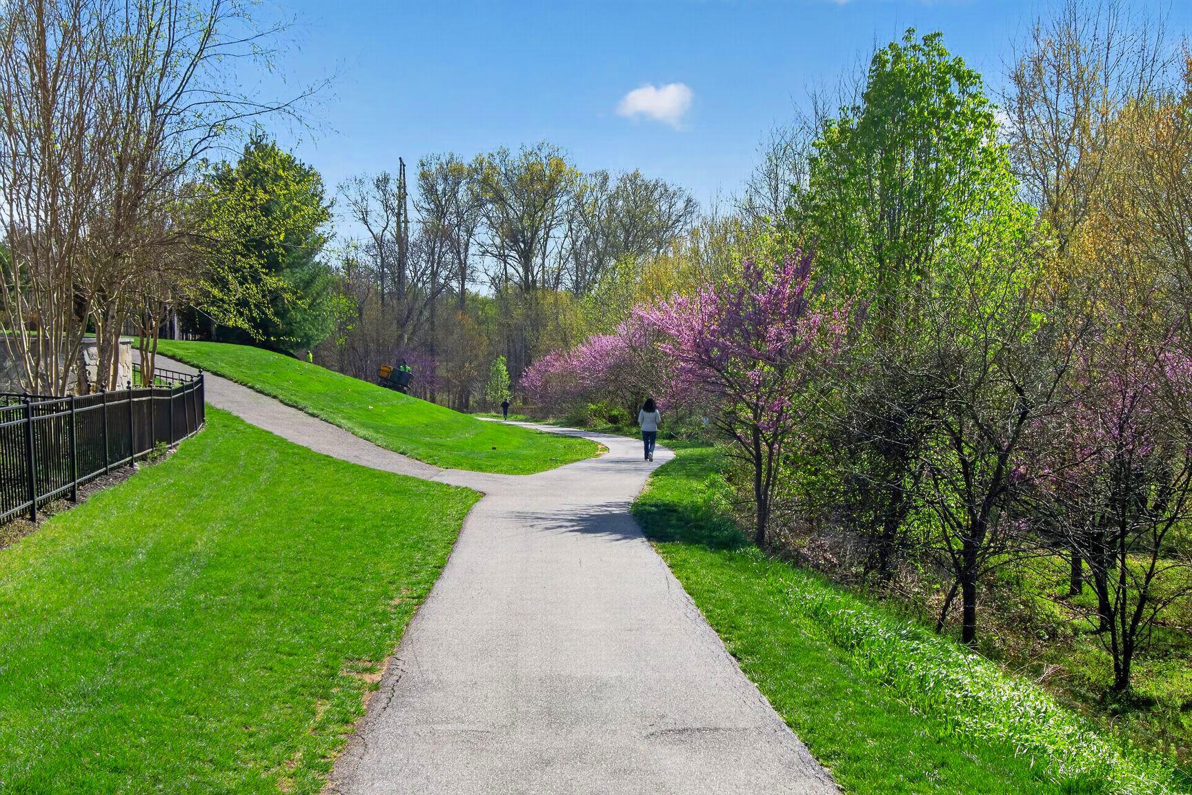 MAPLE LAWN - Residential