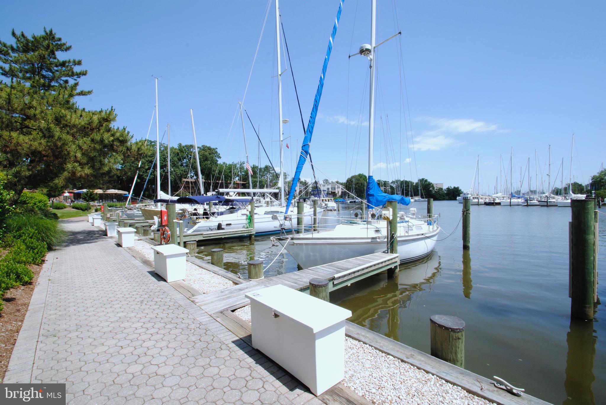 SEVERN HOUSE - Residential