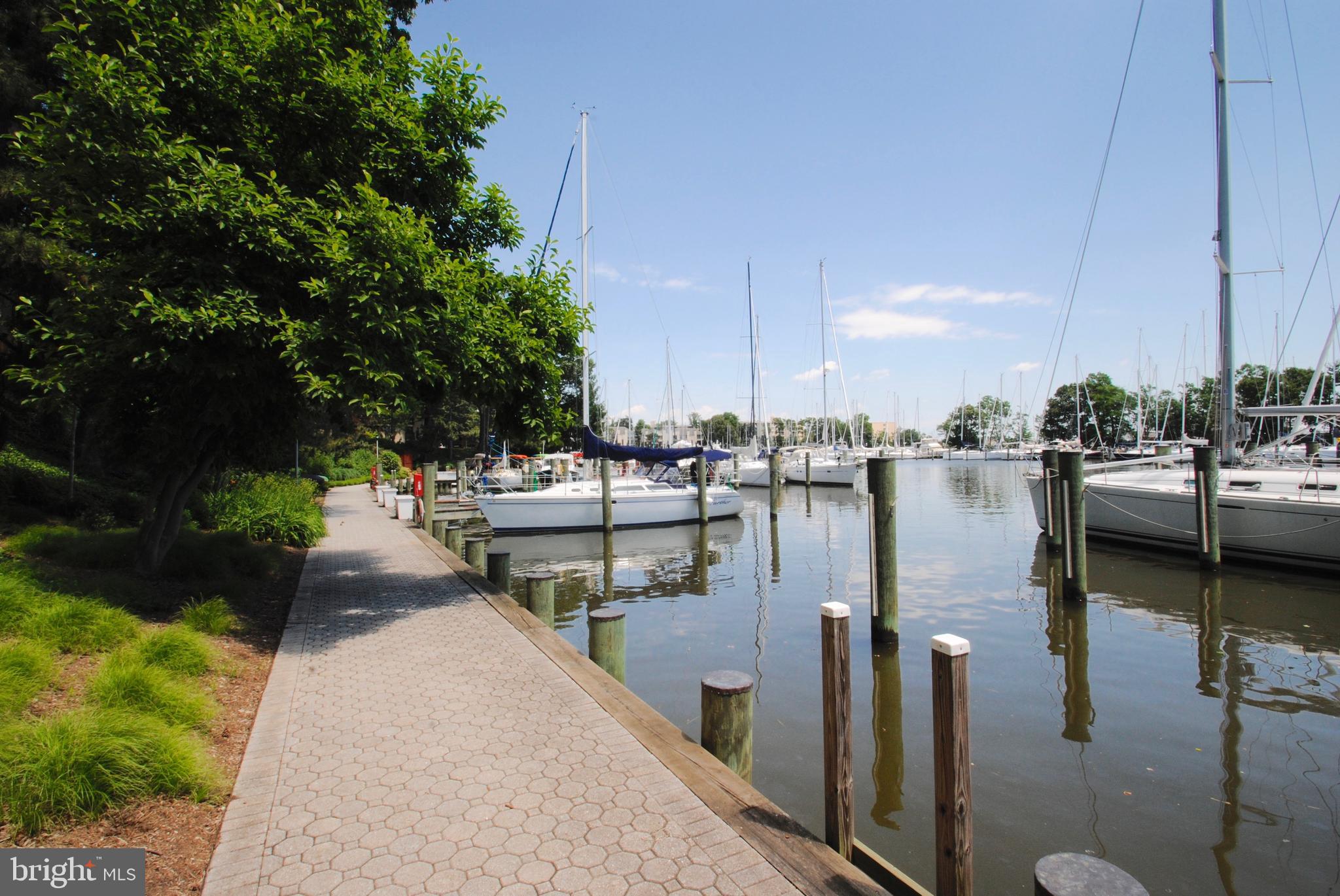 SEVERN HOUSE - Residential