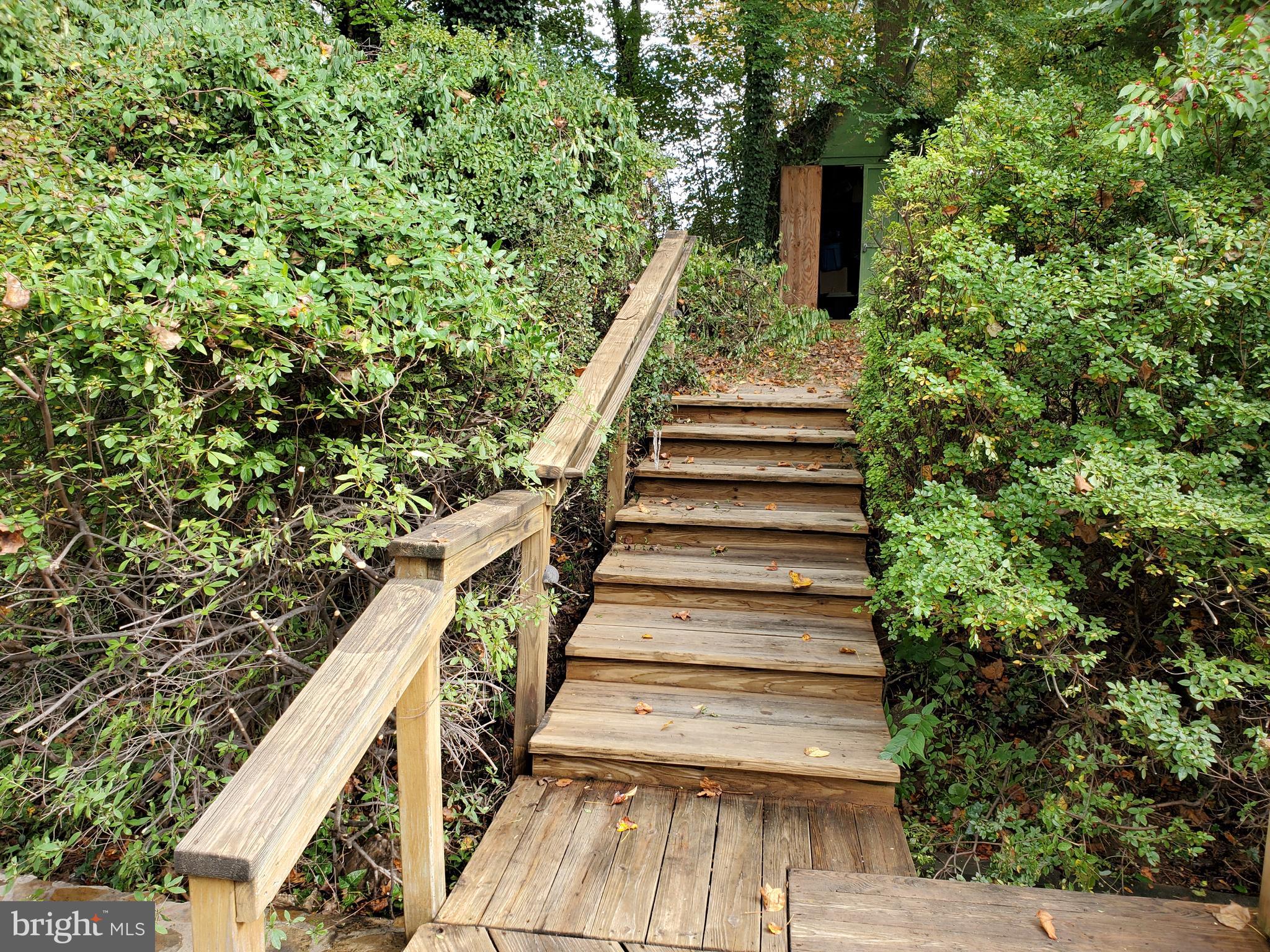 WILLIAMS WESTMORE - Residential Lease