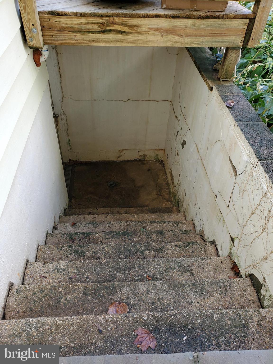 WILLIAMS WESTMORE - Residential Lease