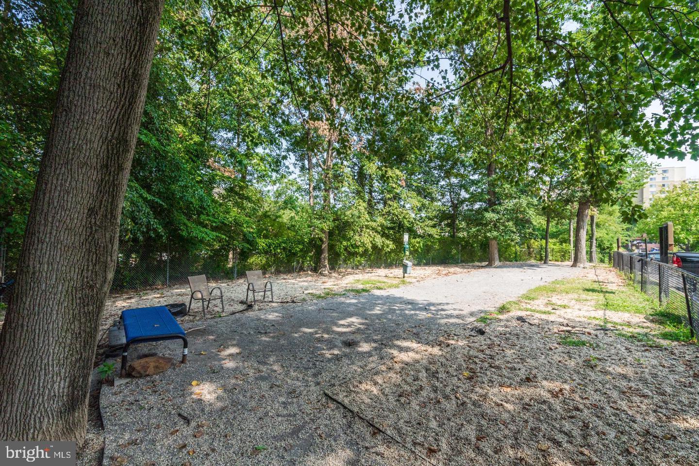 TAKOMA PARK - Residential Lease