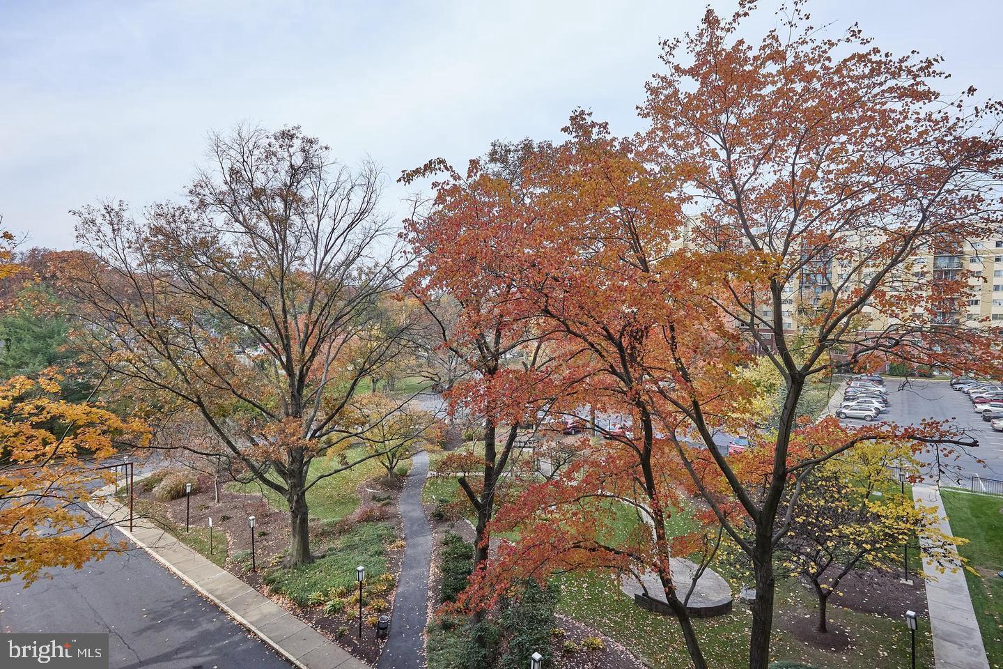 TAKOMA PARK - Residential Lease