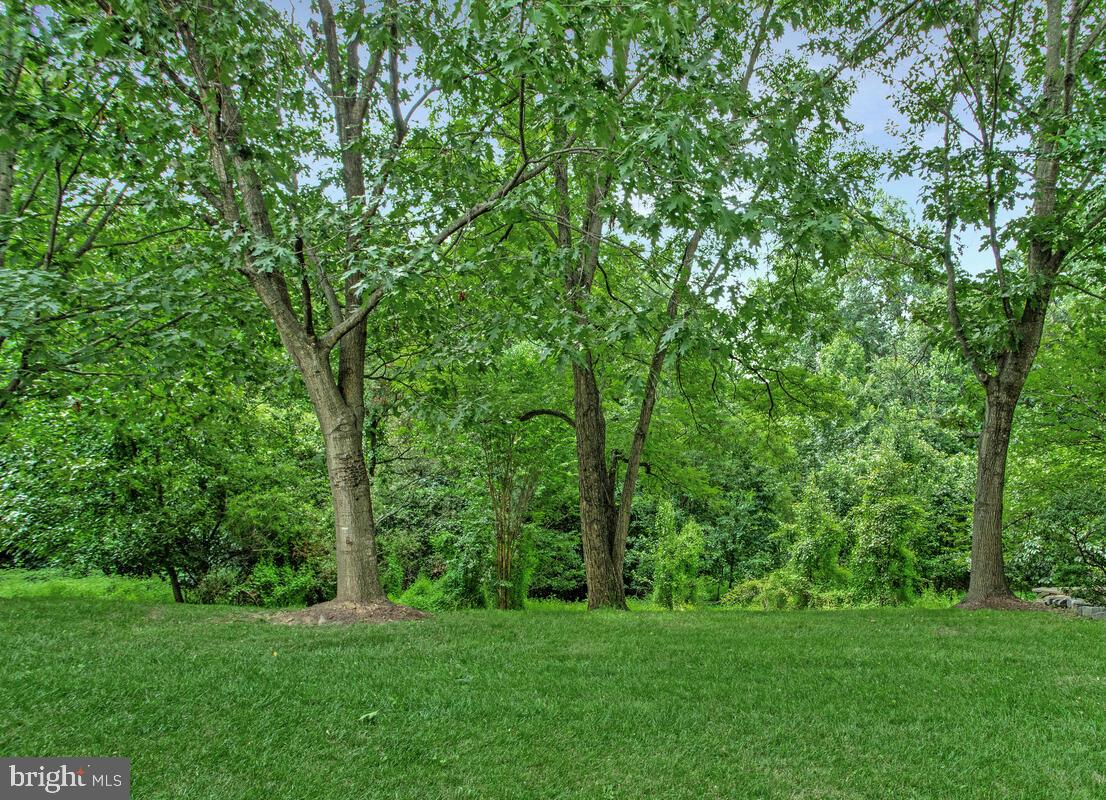 SNOWDEN OVERLOOK - Residential