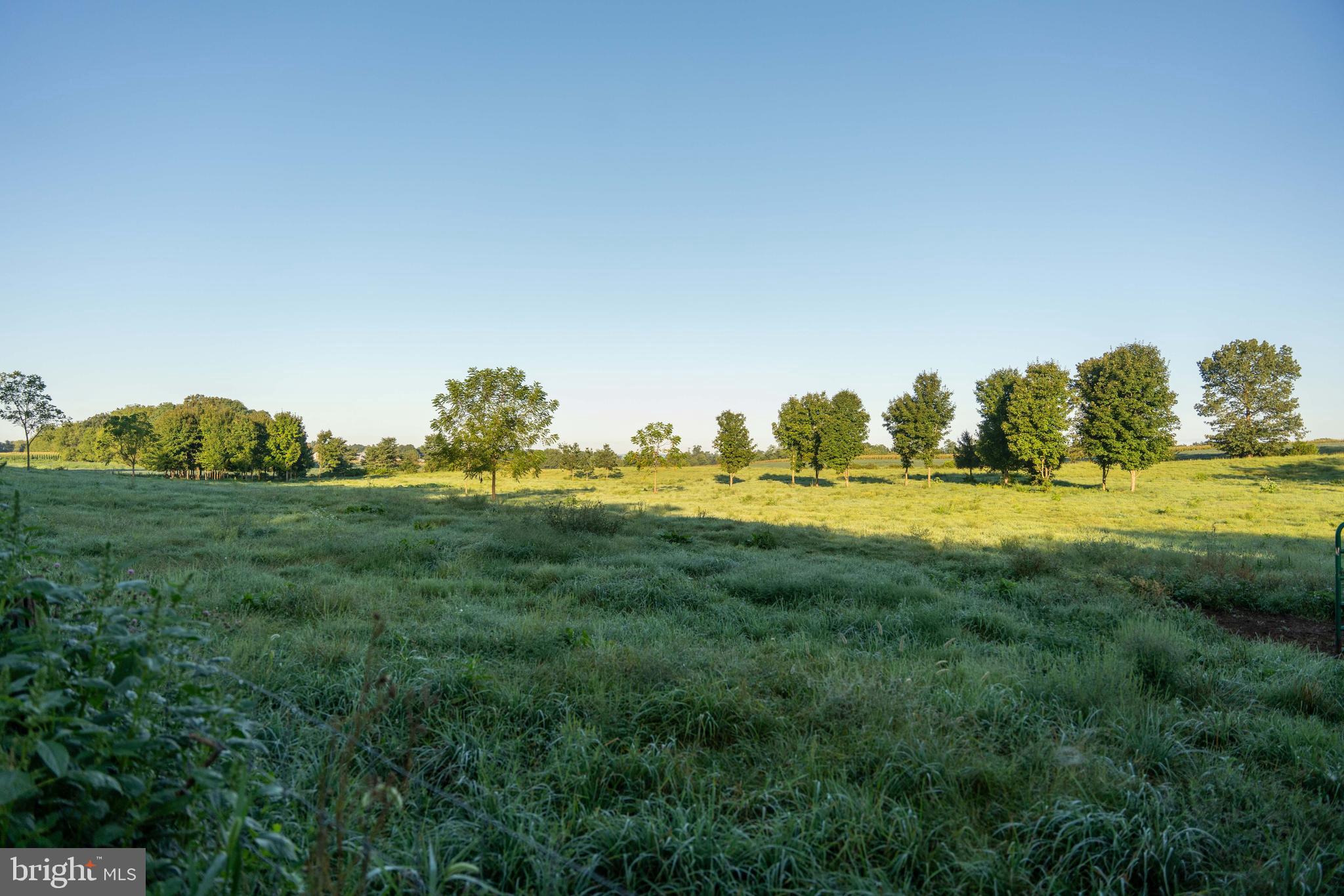 WEST PENNSBORO TWP - Farm