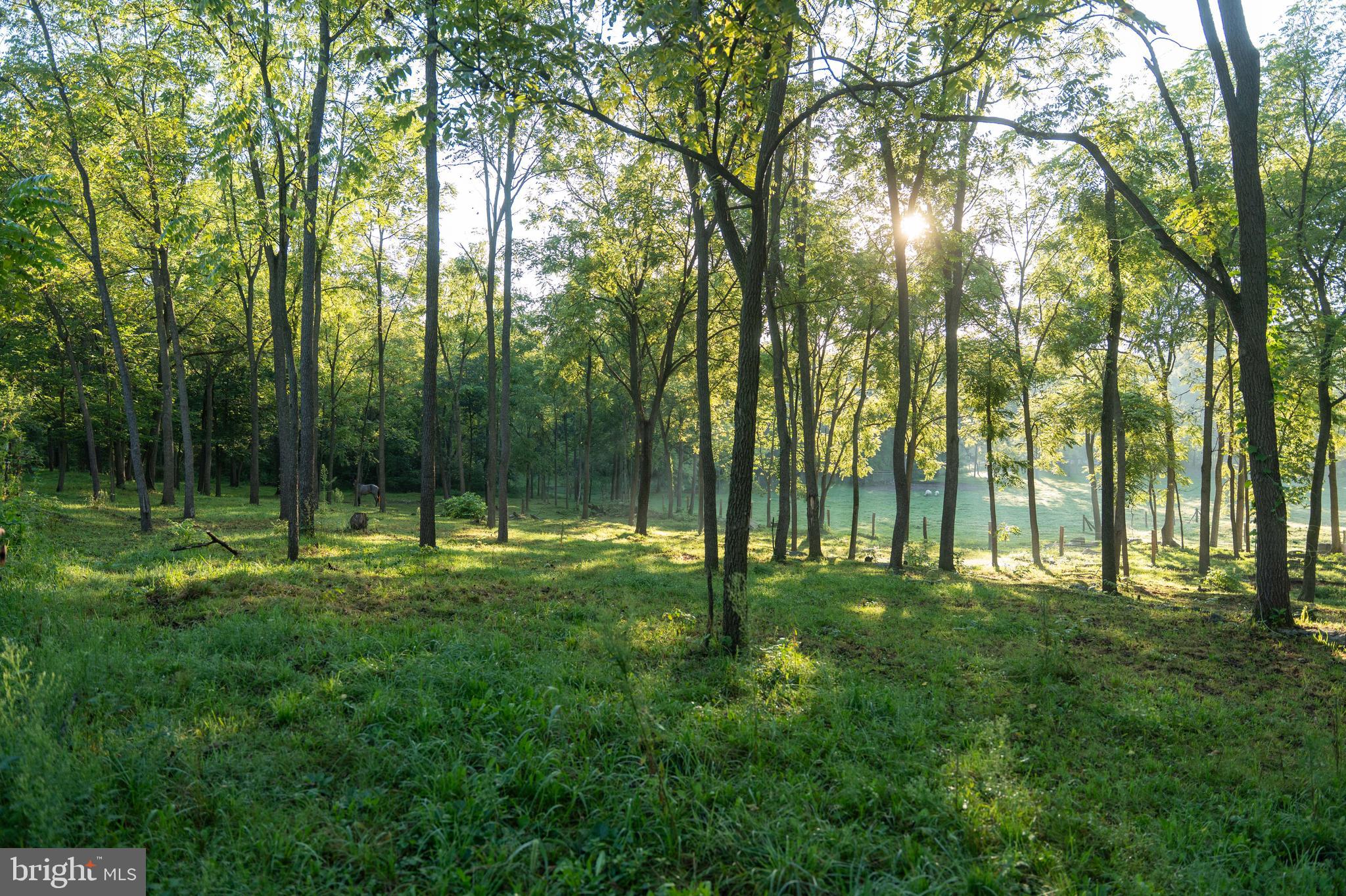 WEST PENNSBORO TWP - Farm