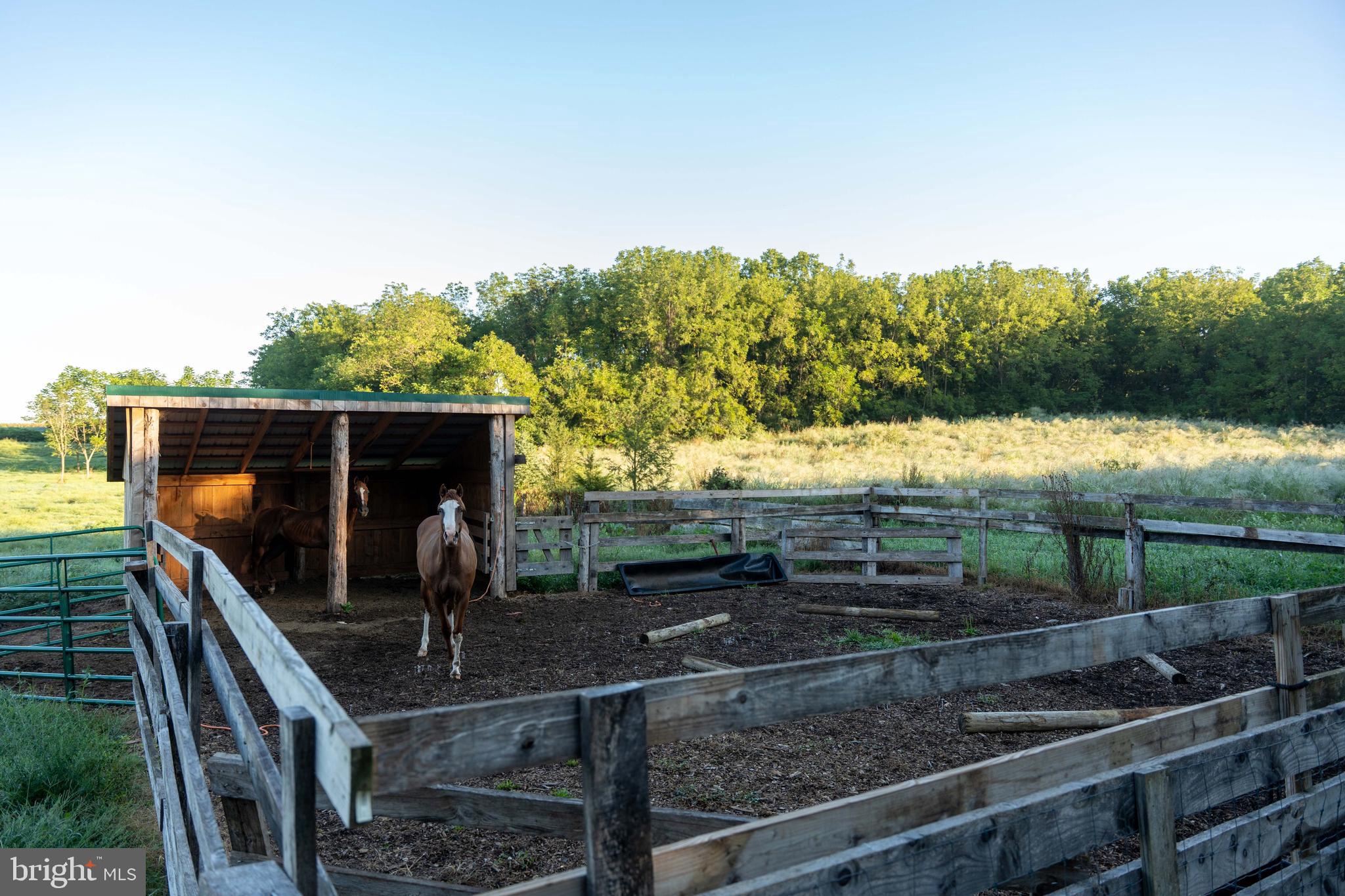 WEST PENNSBORO TWP - Farm