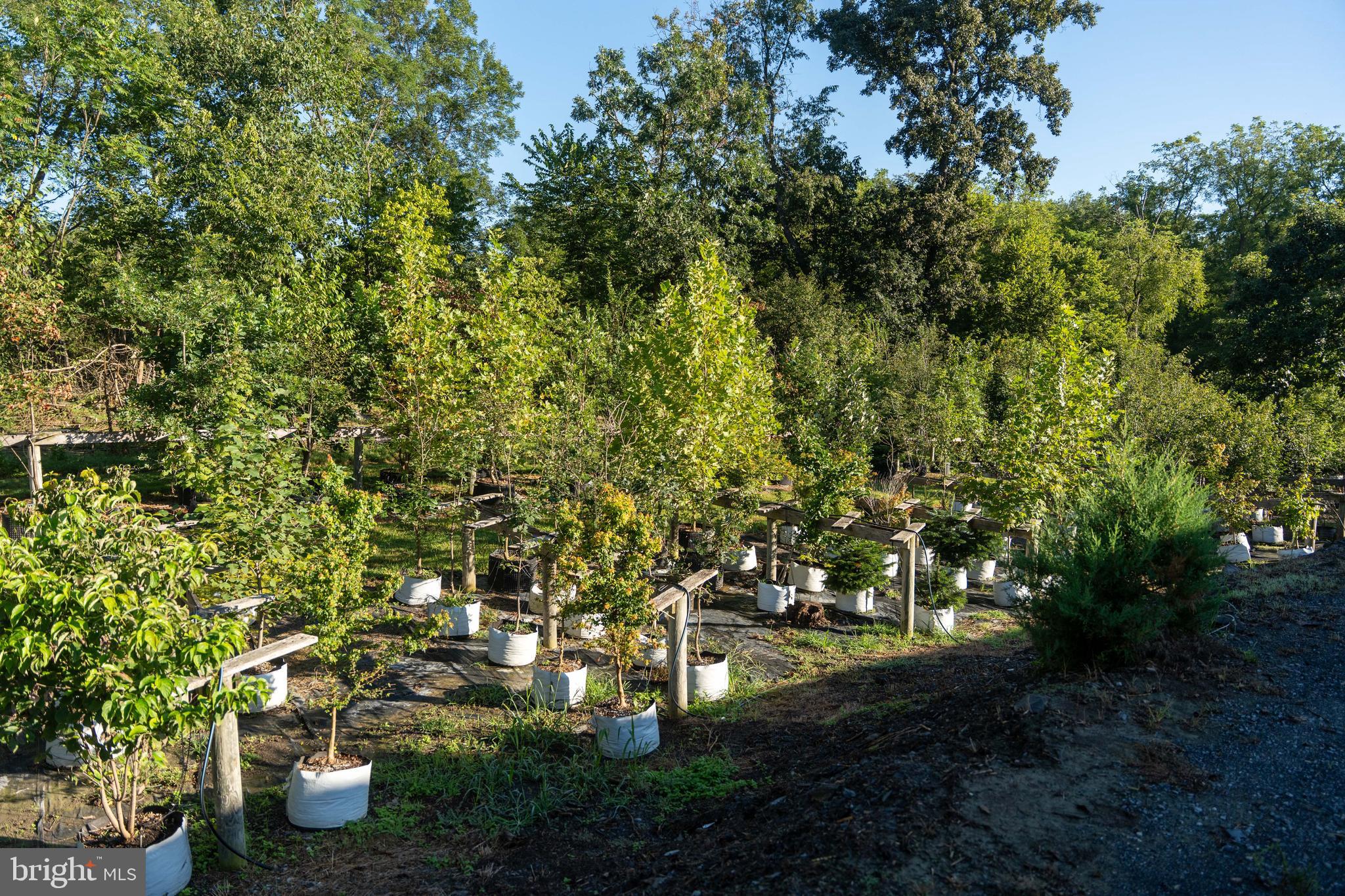 WEST PENNSBORO TWP - Farm