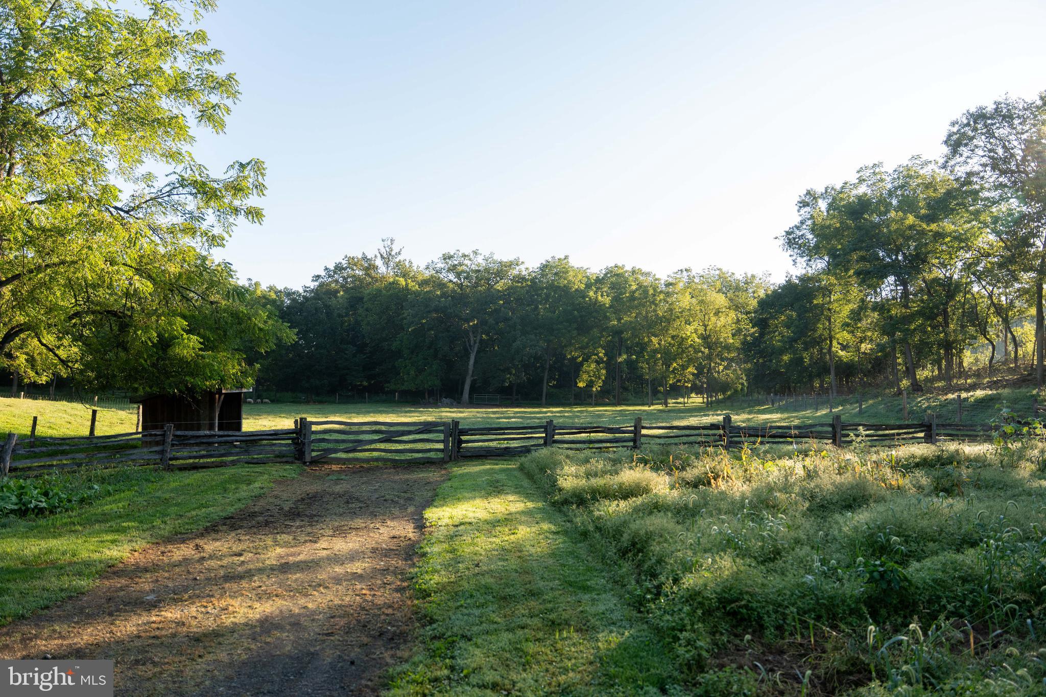 WEST PENNSBORO TWP - Farm