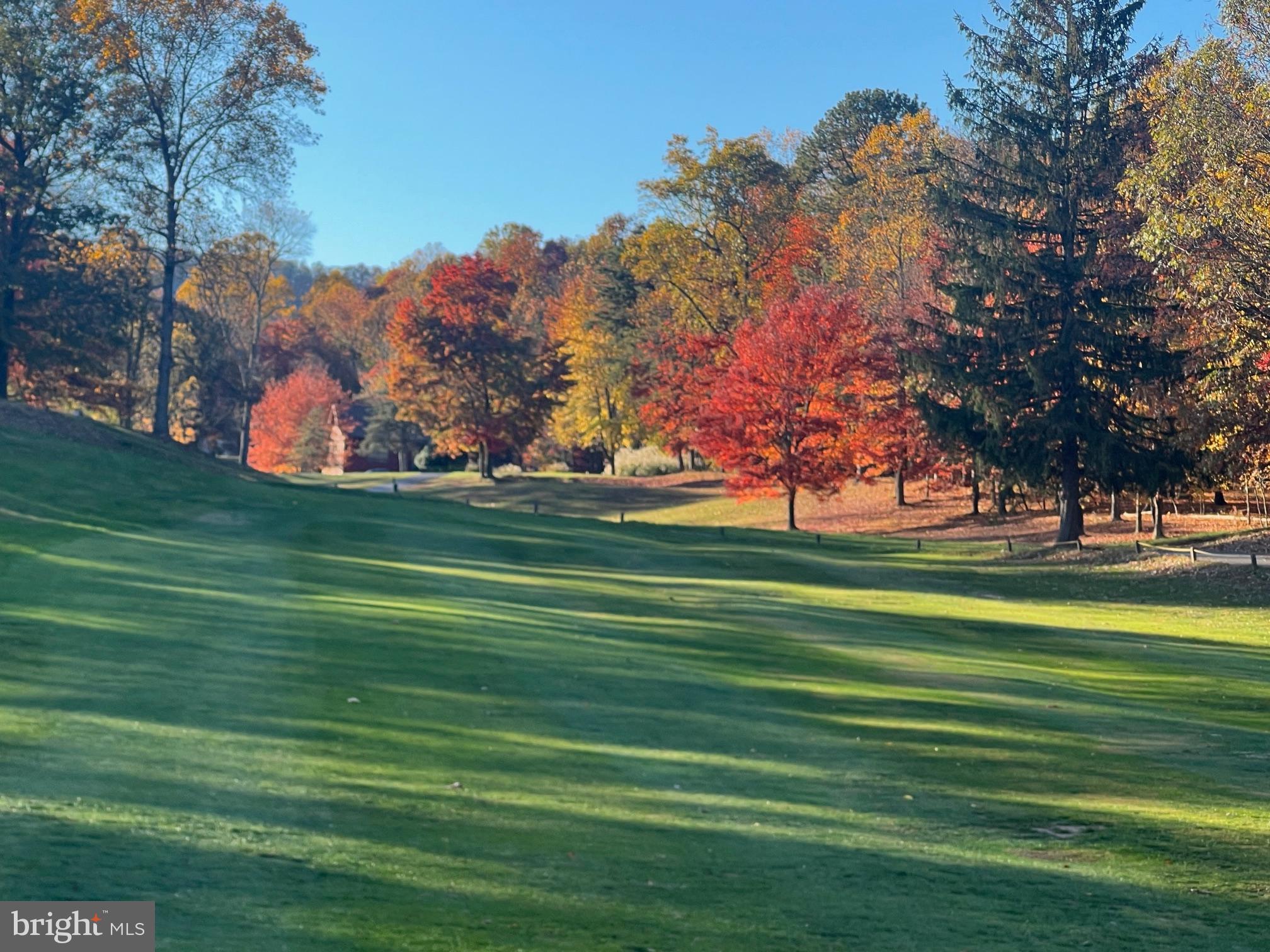 THE WOODS - Residential