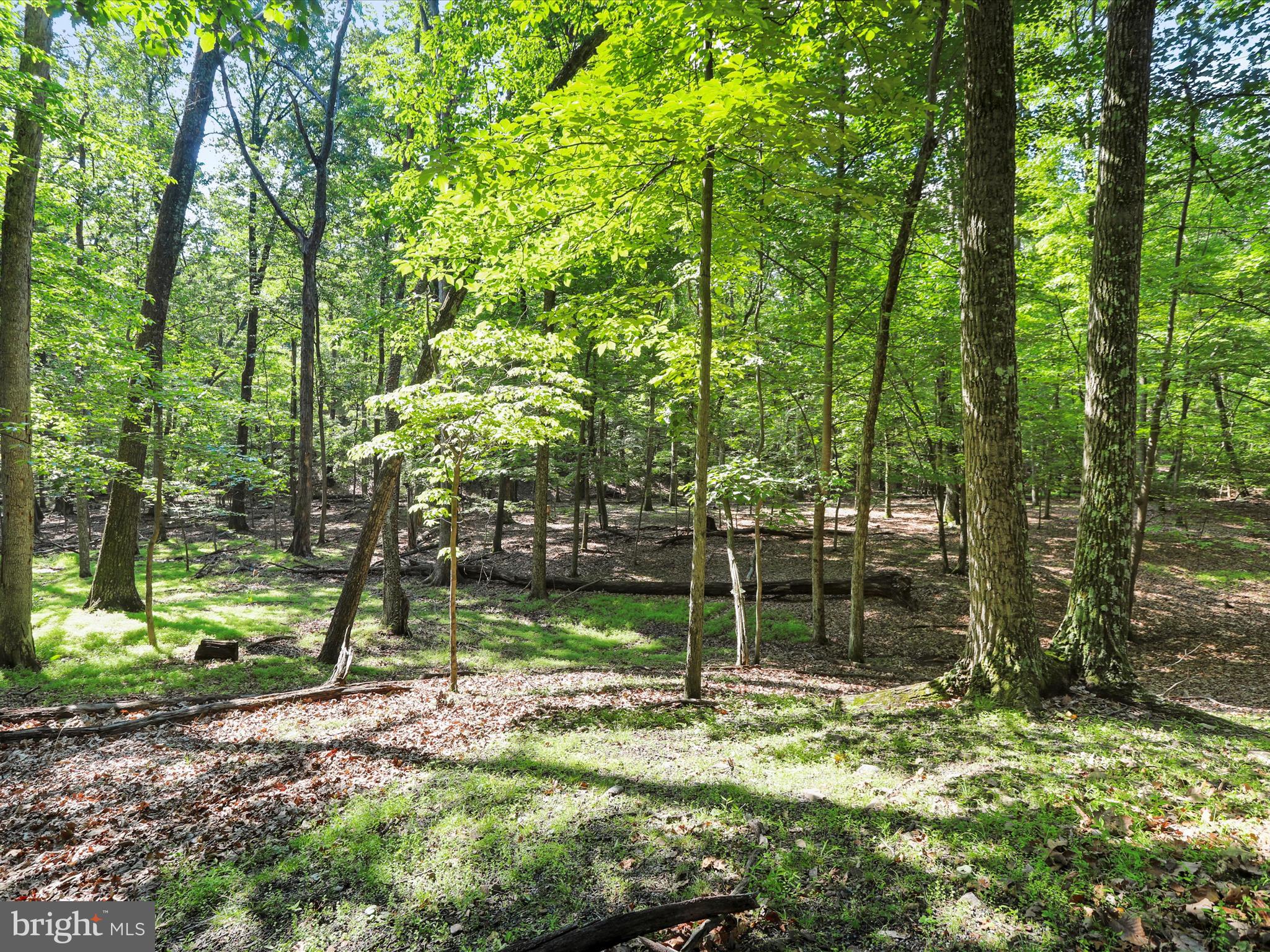 THE WOODS - Residential