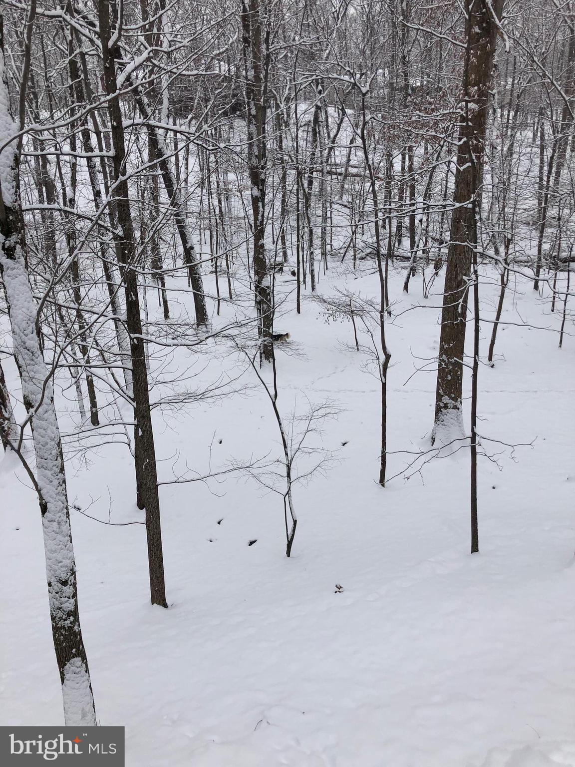 THE WOODS - Residential