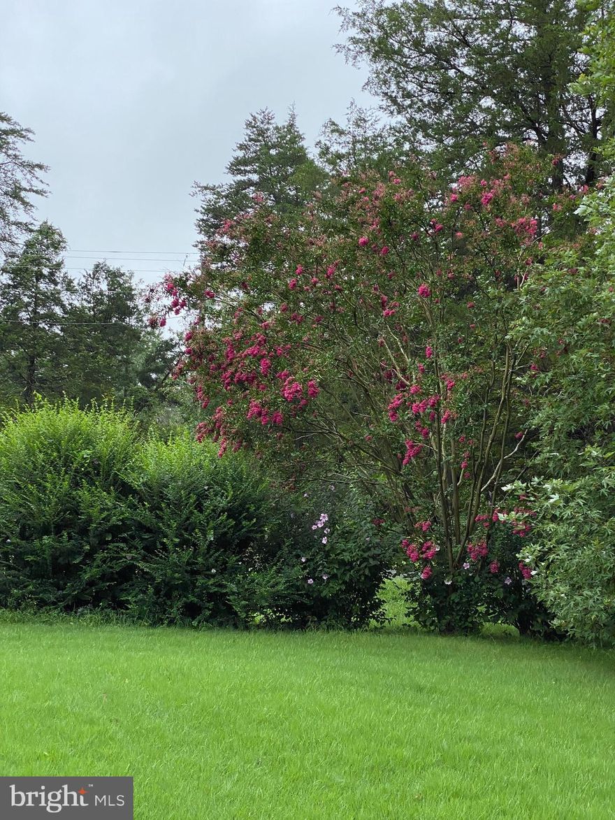 Come and build your dream home on this 1 acre lot next to a babbling stream. Very quiet area if Midland Va.  Half of the land is wooded. Small home on property needs to be torn down.    All is strictly sold in AS-IS condition         DO NOT ENTER THE HOME - IT IS UNSAFE! Please call Listing agent with all questions.