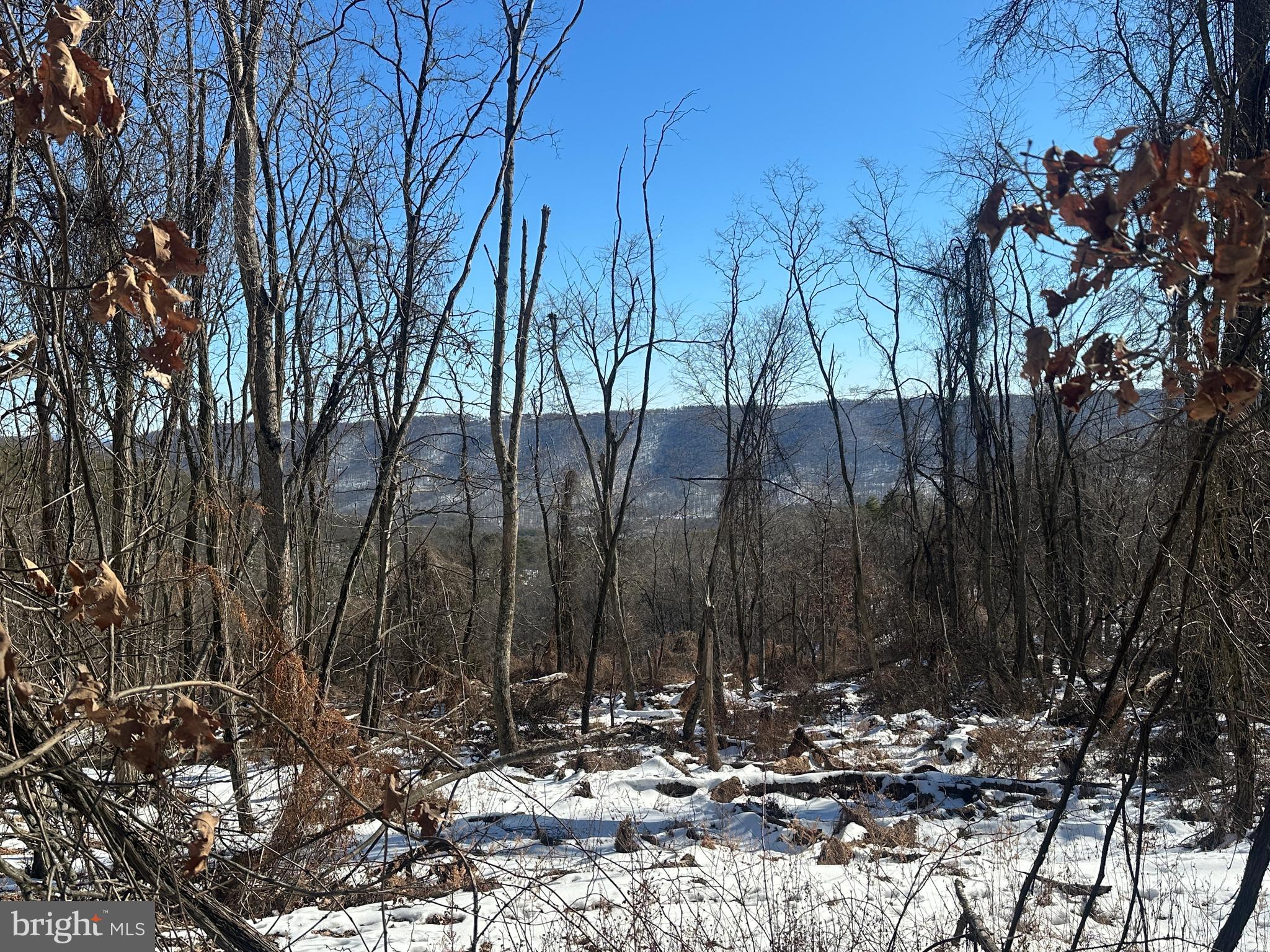 BLUFFS ON THE POTOMAC - Land