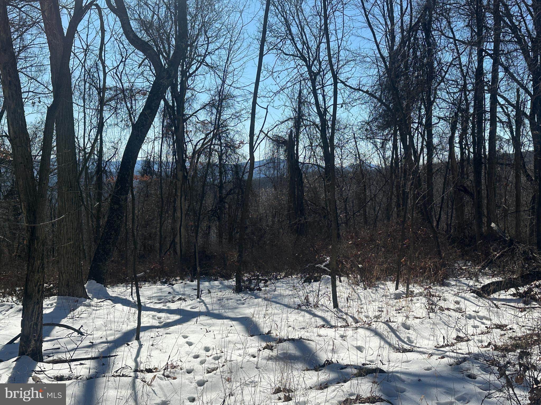 BLUFFS ON THE POTOMAC - Land