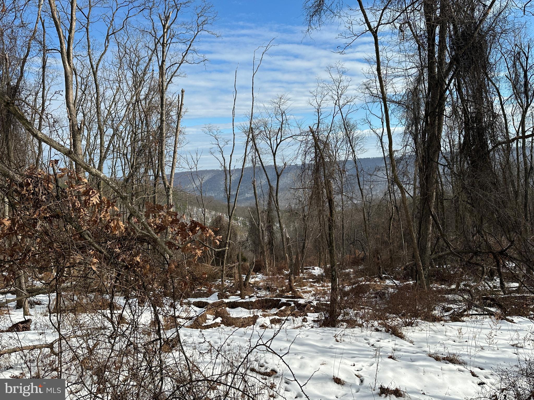 BLUFFS ON THE POTOMAC - Land