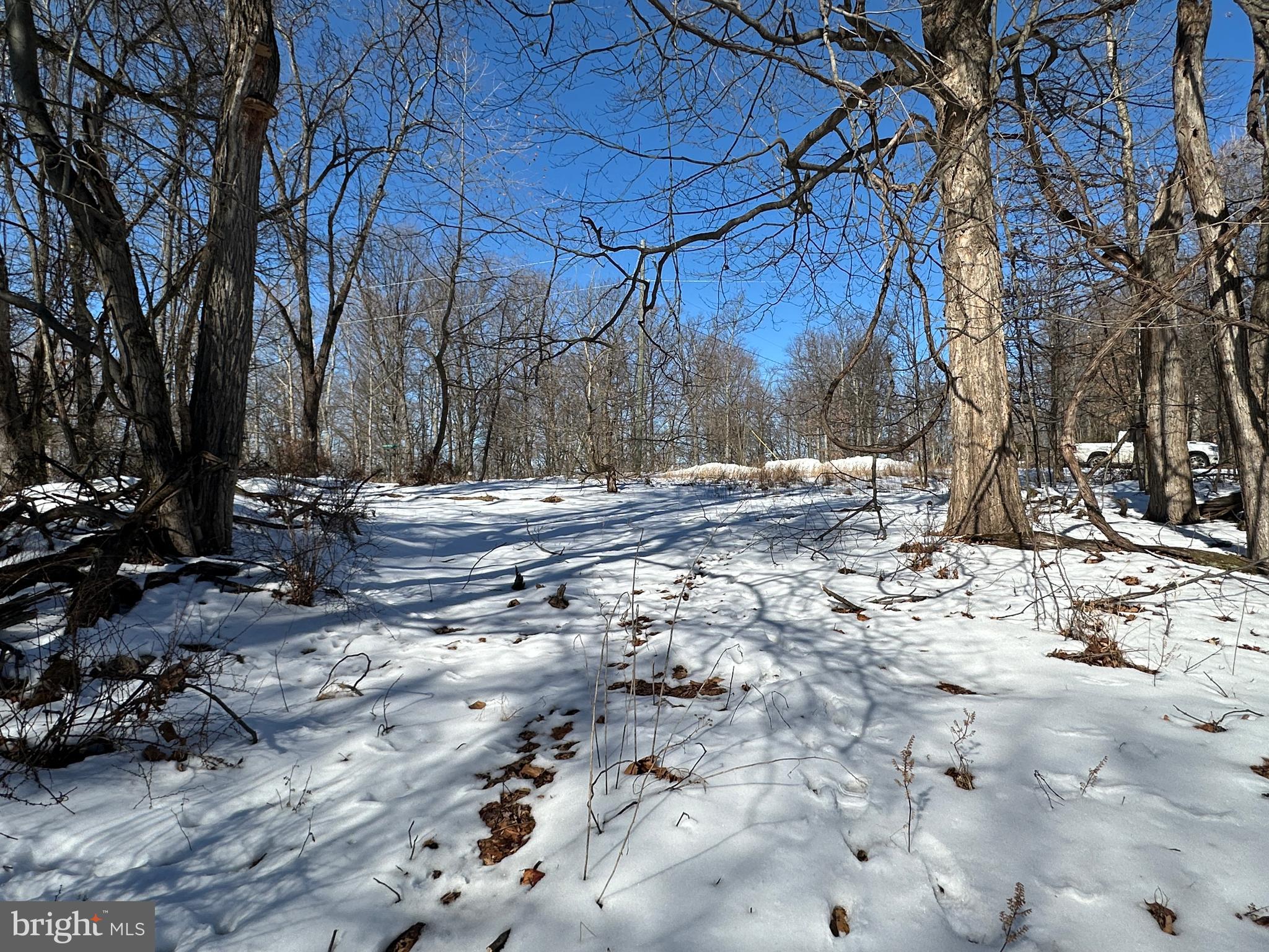 BLUFFS ON THE POTOMAC - Land