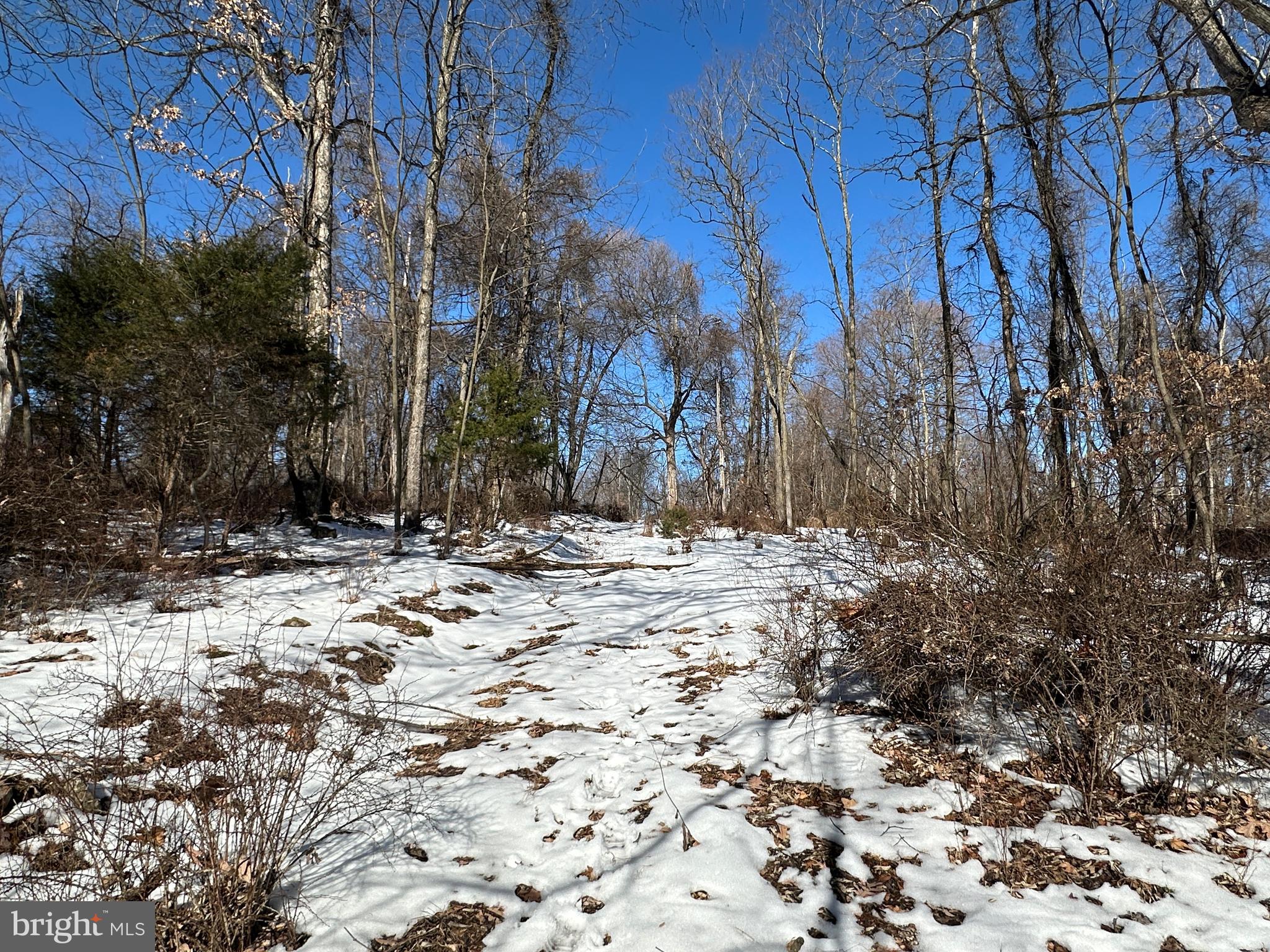 BLUFFS ON THE POTOMAC - Land