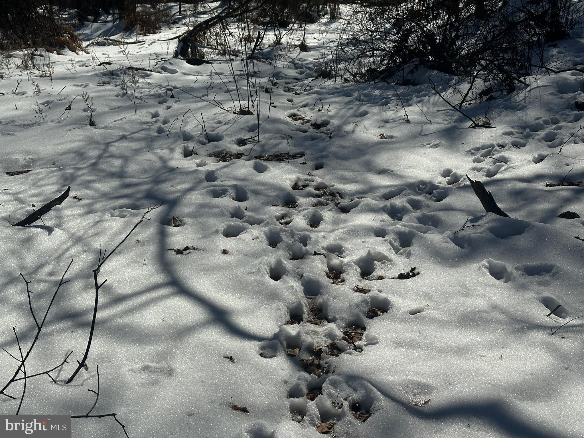 BLUFFS ON THE POTOMAC - Land