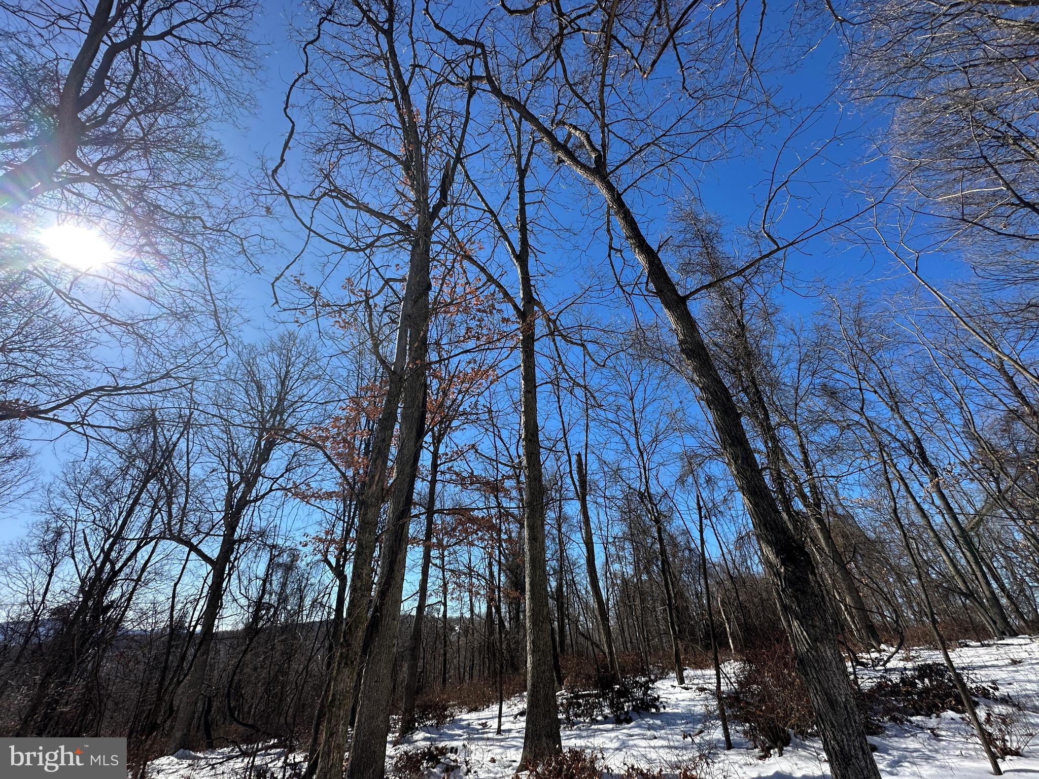 BLUFFS ON THE POTOMAC - Land