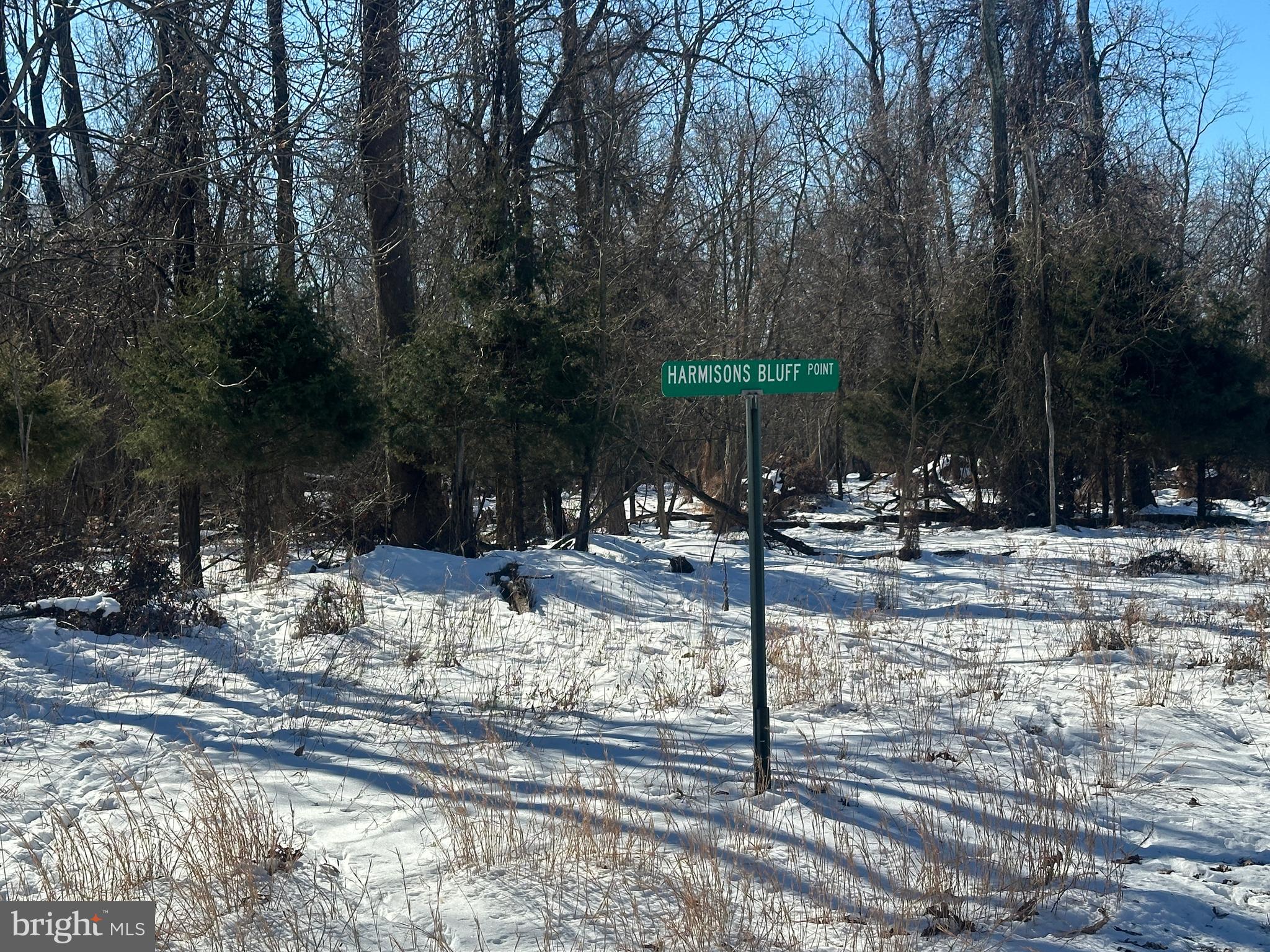 BLUFFS ON THE POTOMAC - Land