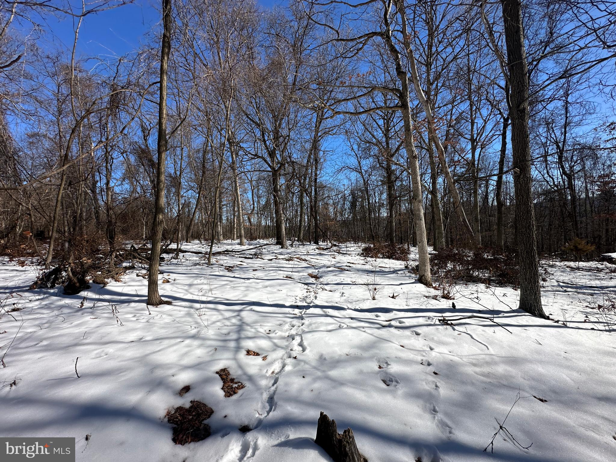 BLUFFS ON THE POTOMAC - Land