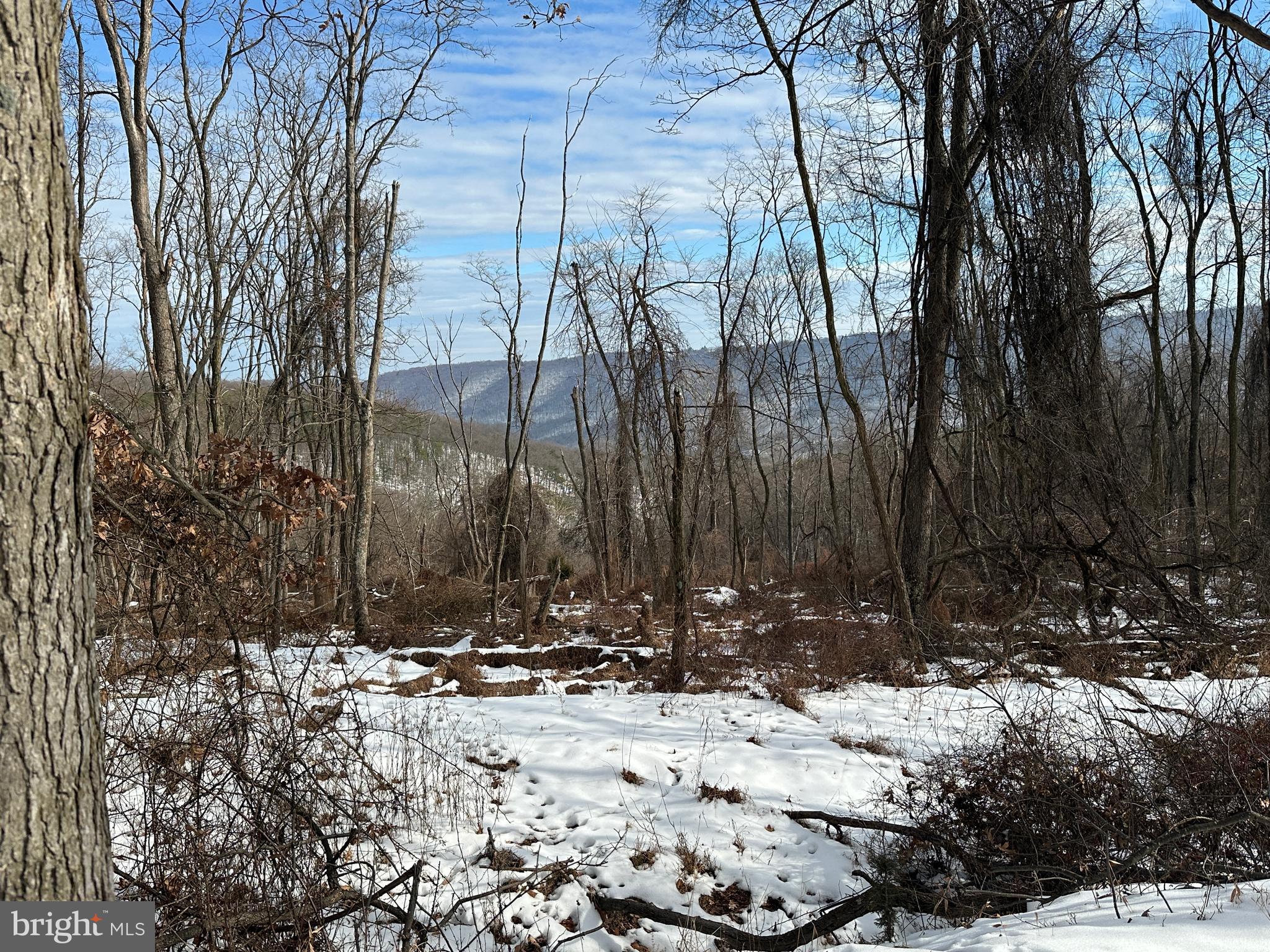 BLUFFS ON THE POTOMAC - Land