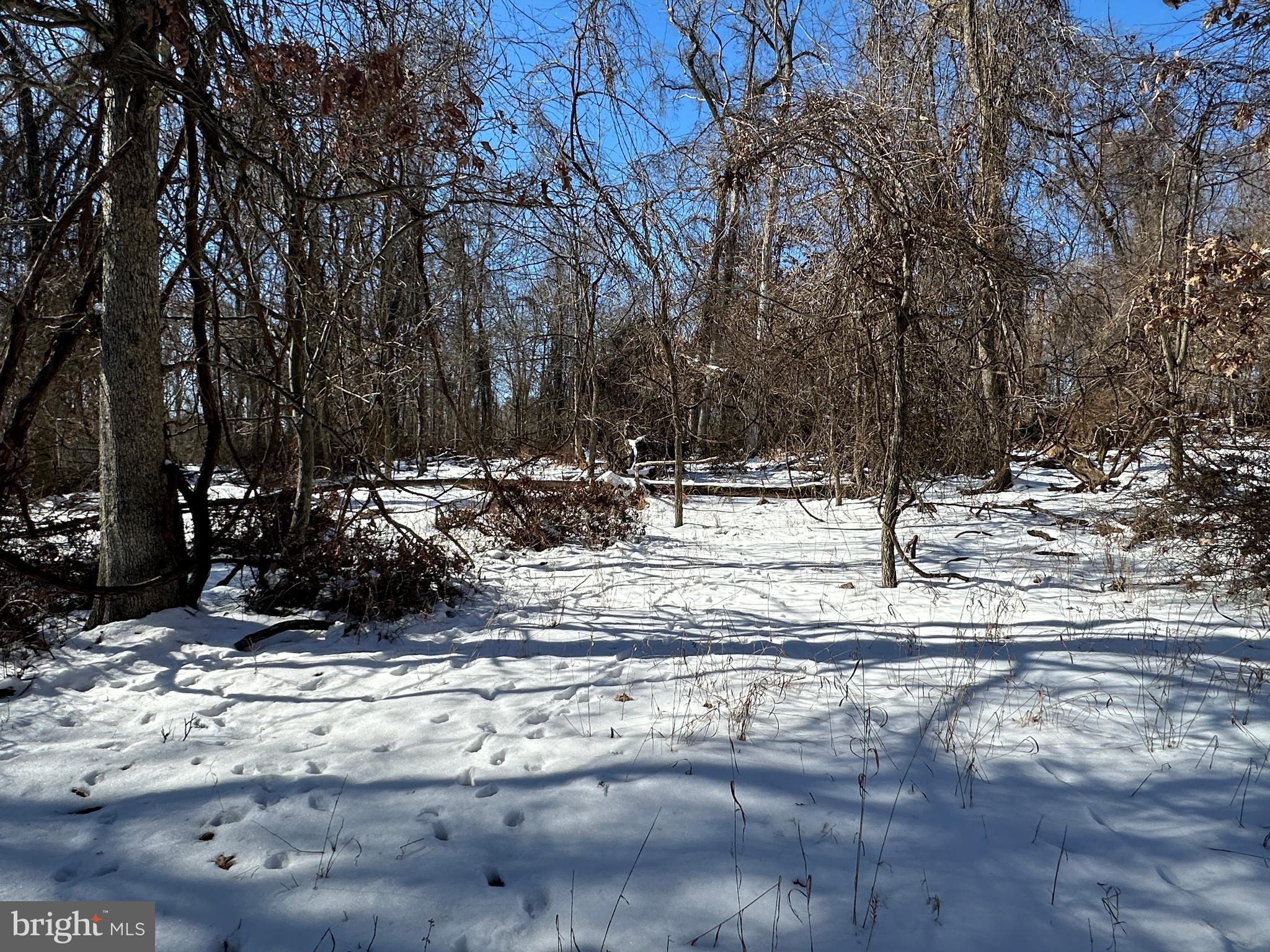 BLUFFS ON THE POTOMAC - Land