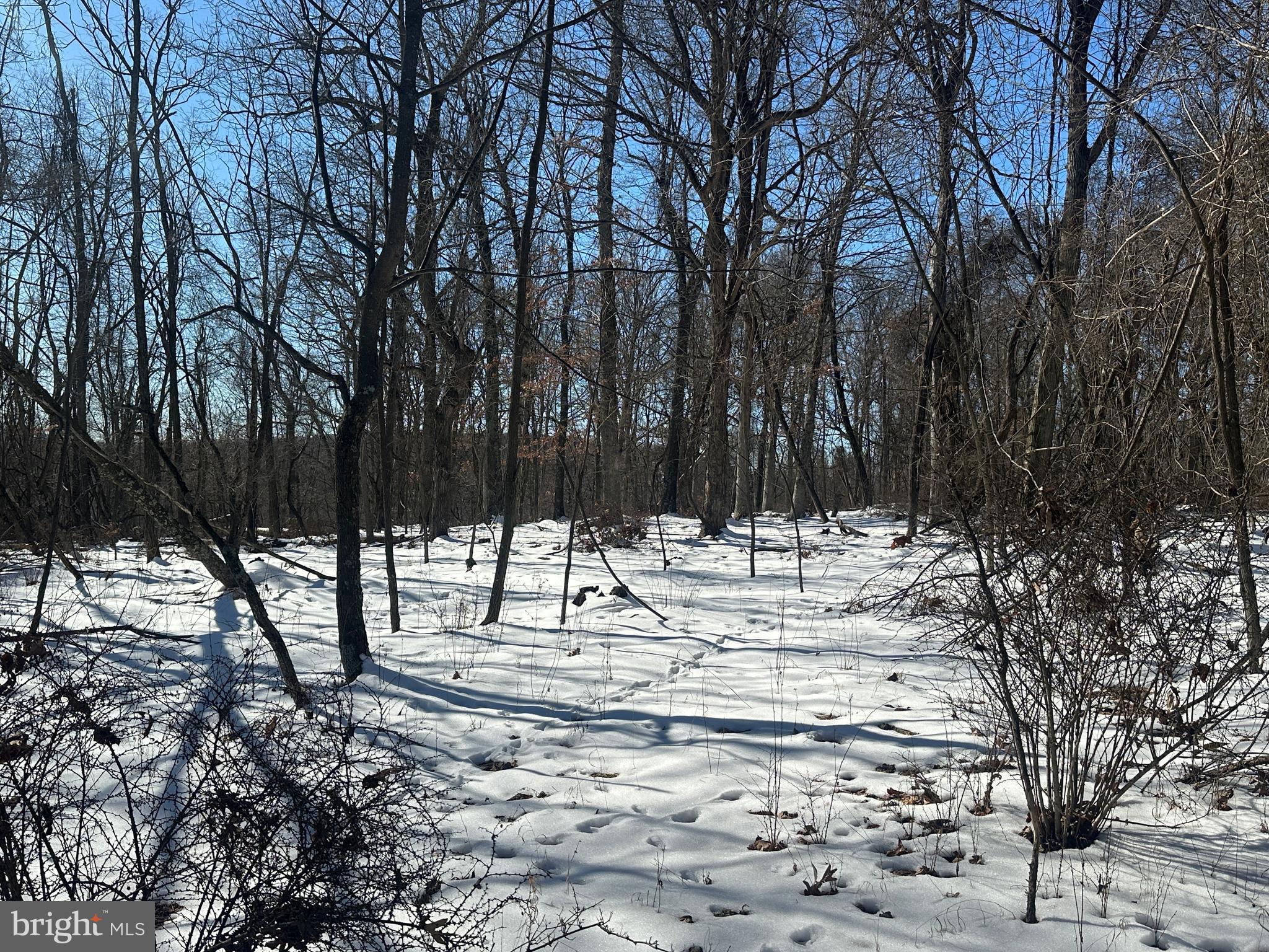 BLUFFS ON THE POTOMAC - Land