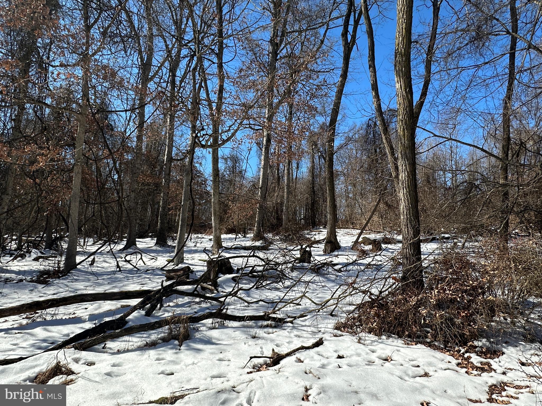 BLUFFS ON THE POTOMAC - Land