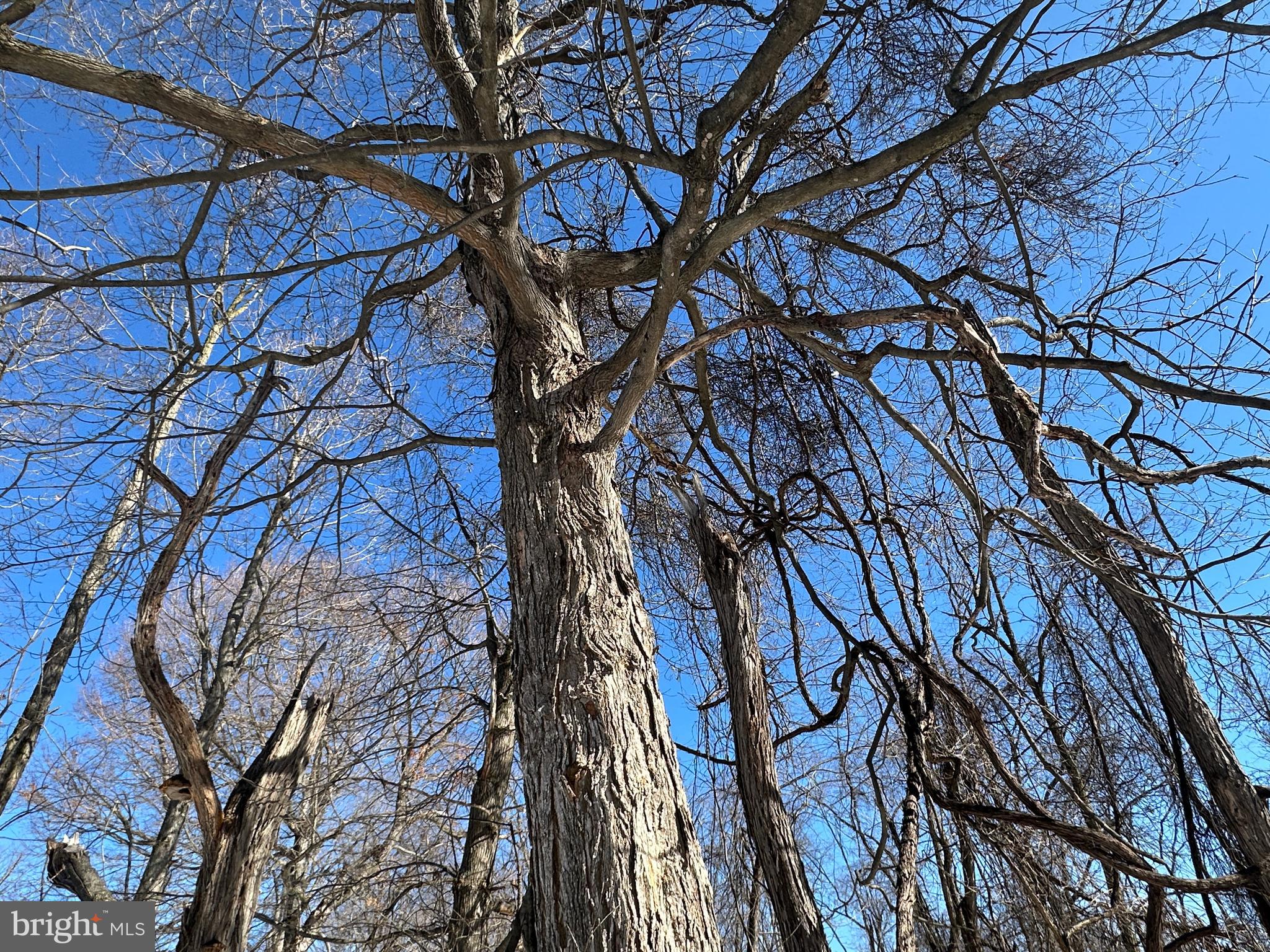 BLUFFS ON THE POTOMAC - Land