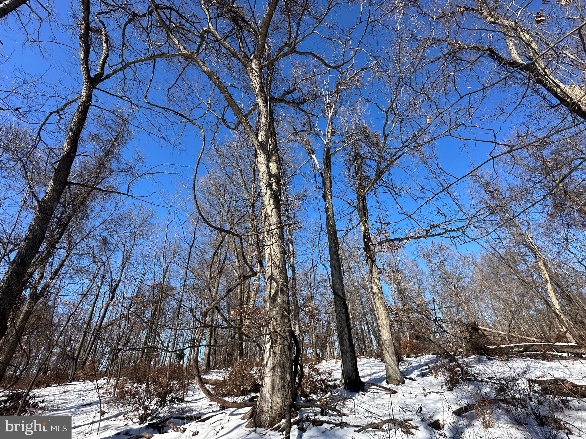 BLUFFS ON THE POTOMAC - Land