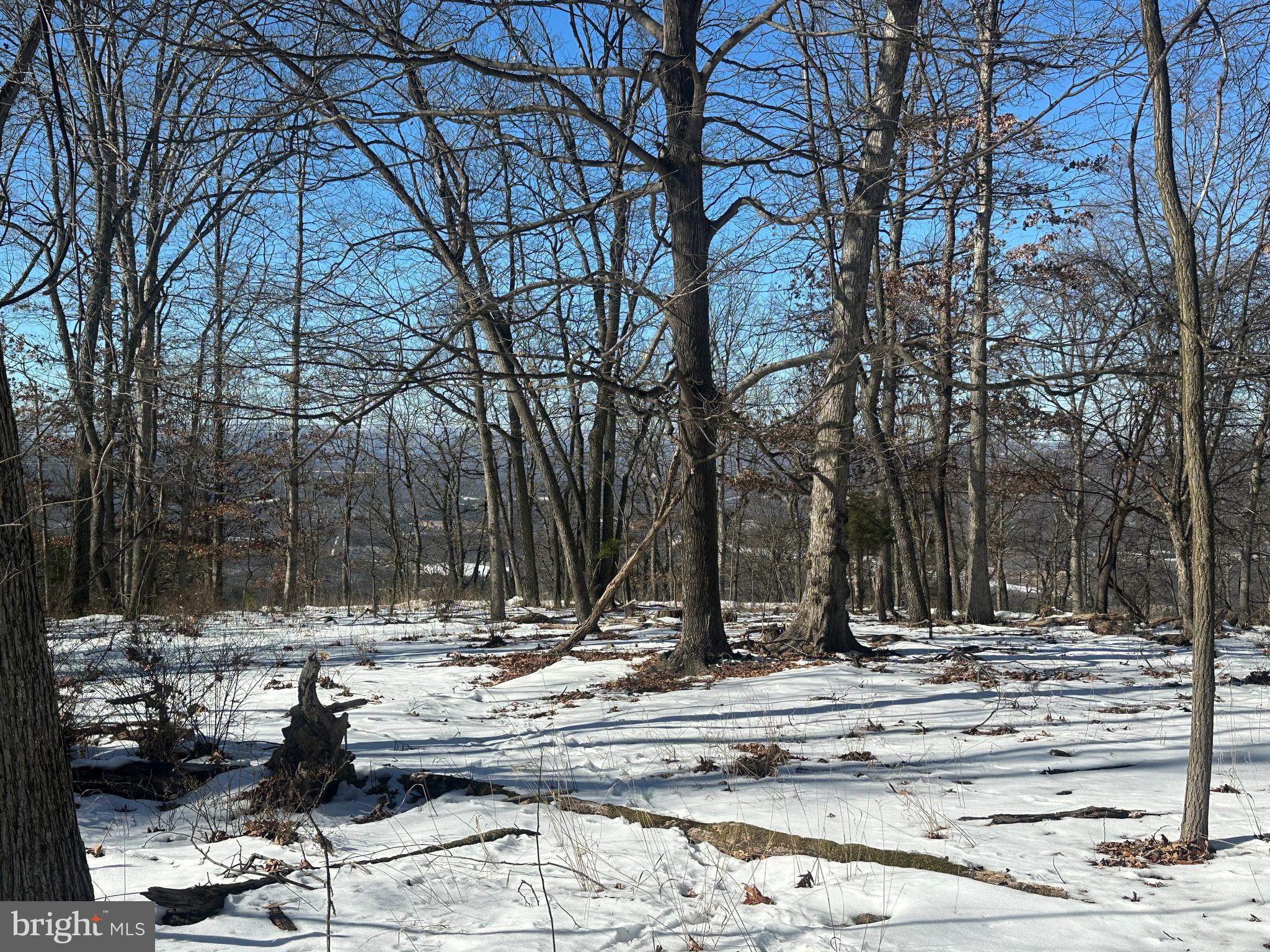BLUFFS ON THE POTOMAC - Land