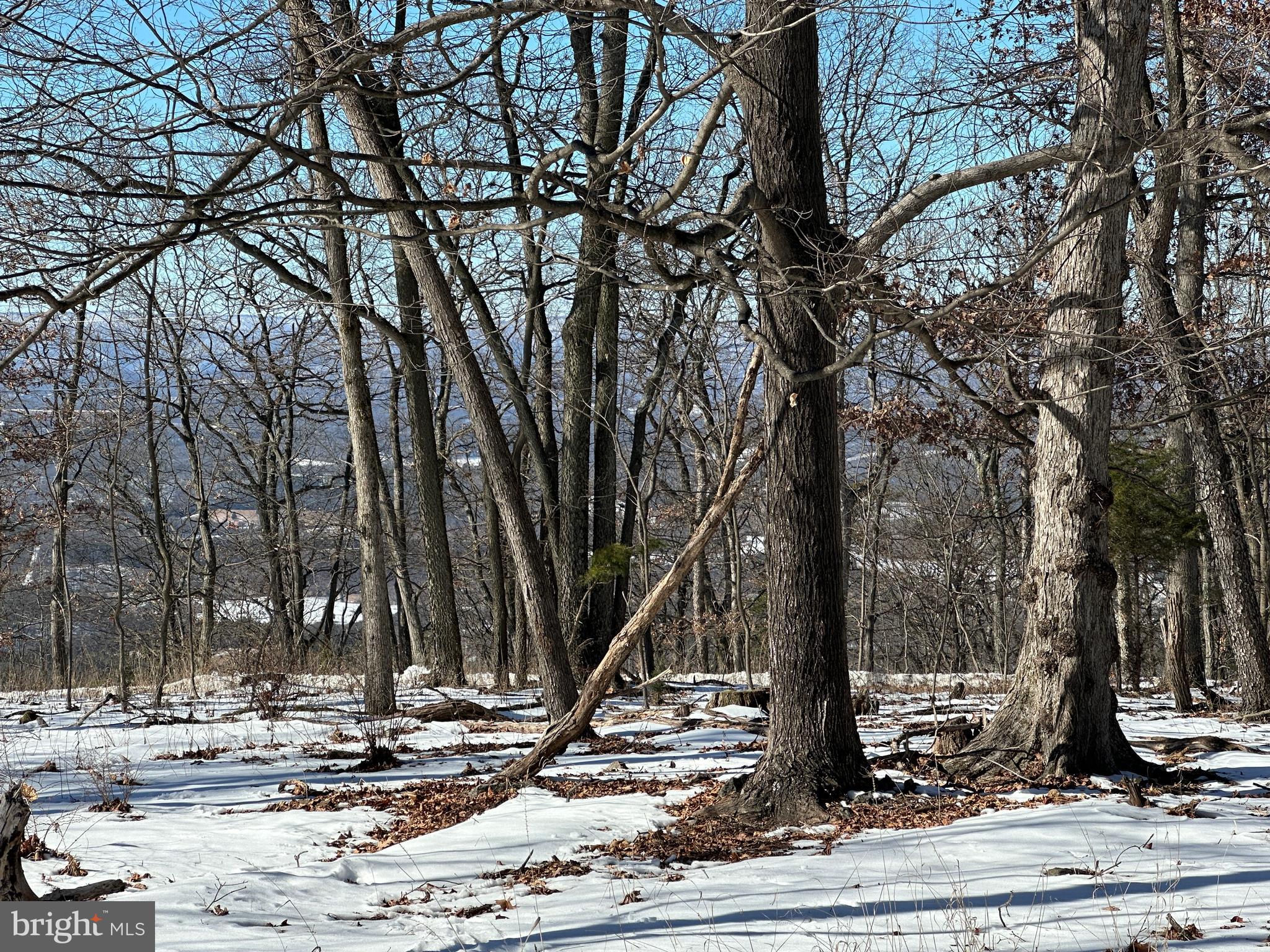 BLUFFS ON THE POTOMAC - Land