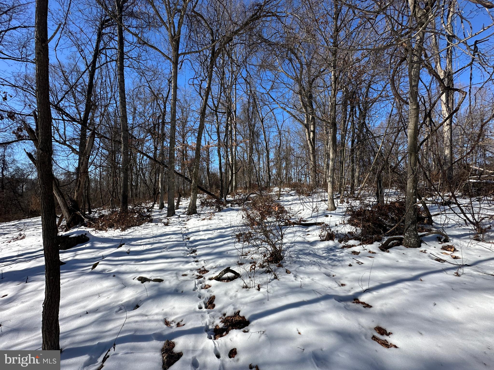 BLUFFS ON THE POTOMAC - Land
